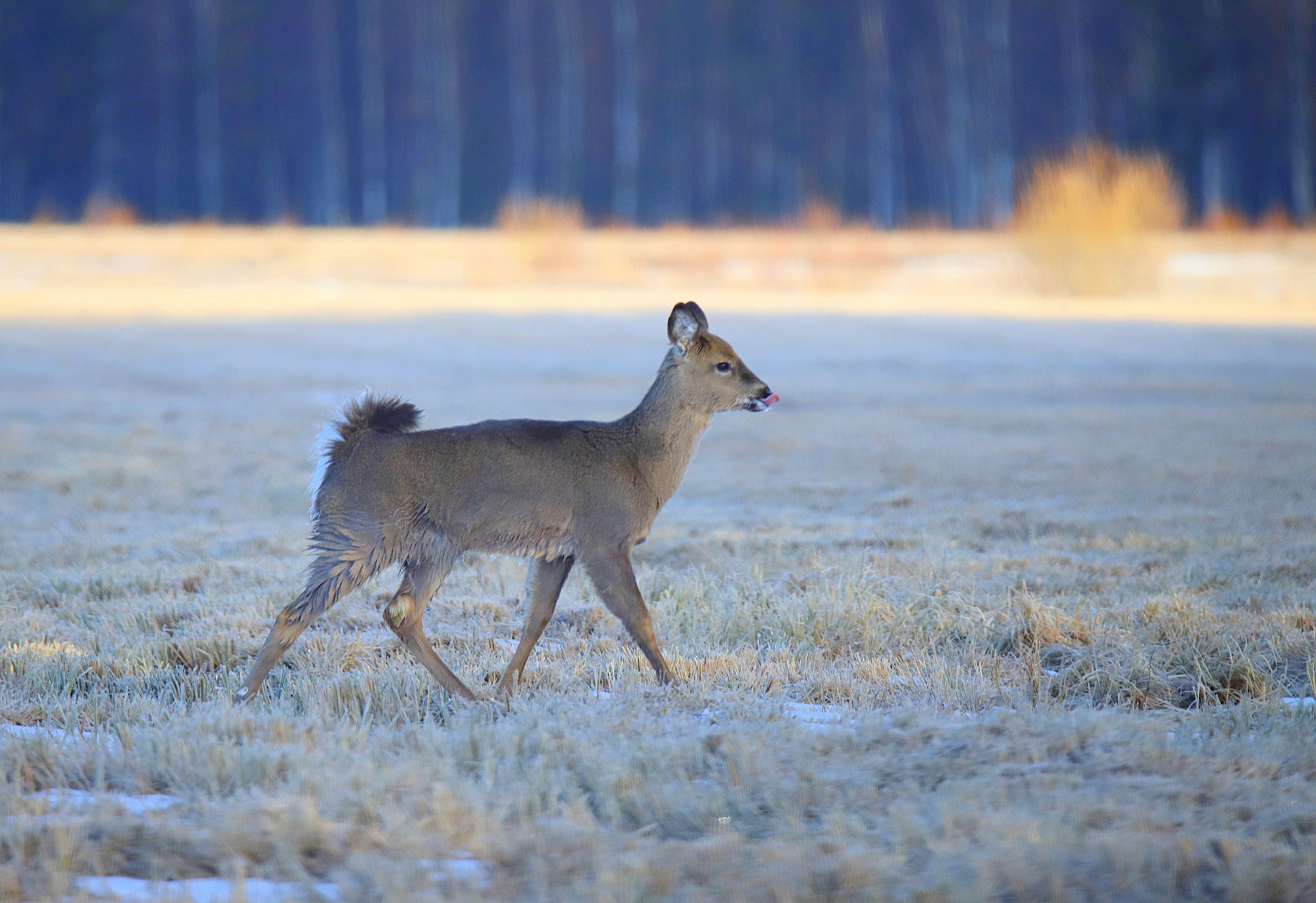 Valokuvaaja: sirpa jyske