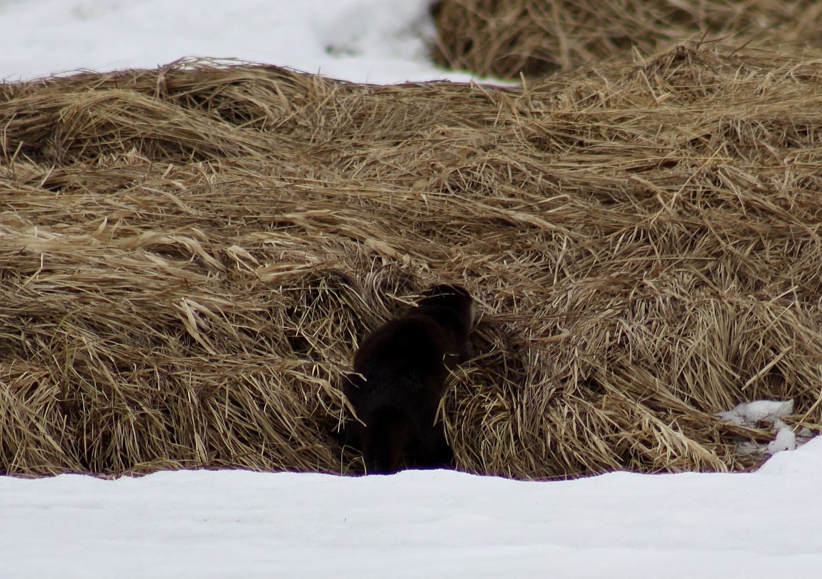 Valokuvaaja: Pirkko Siukonen