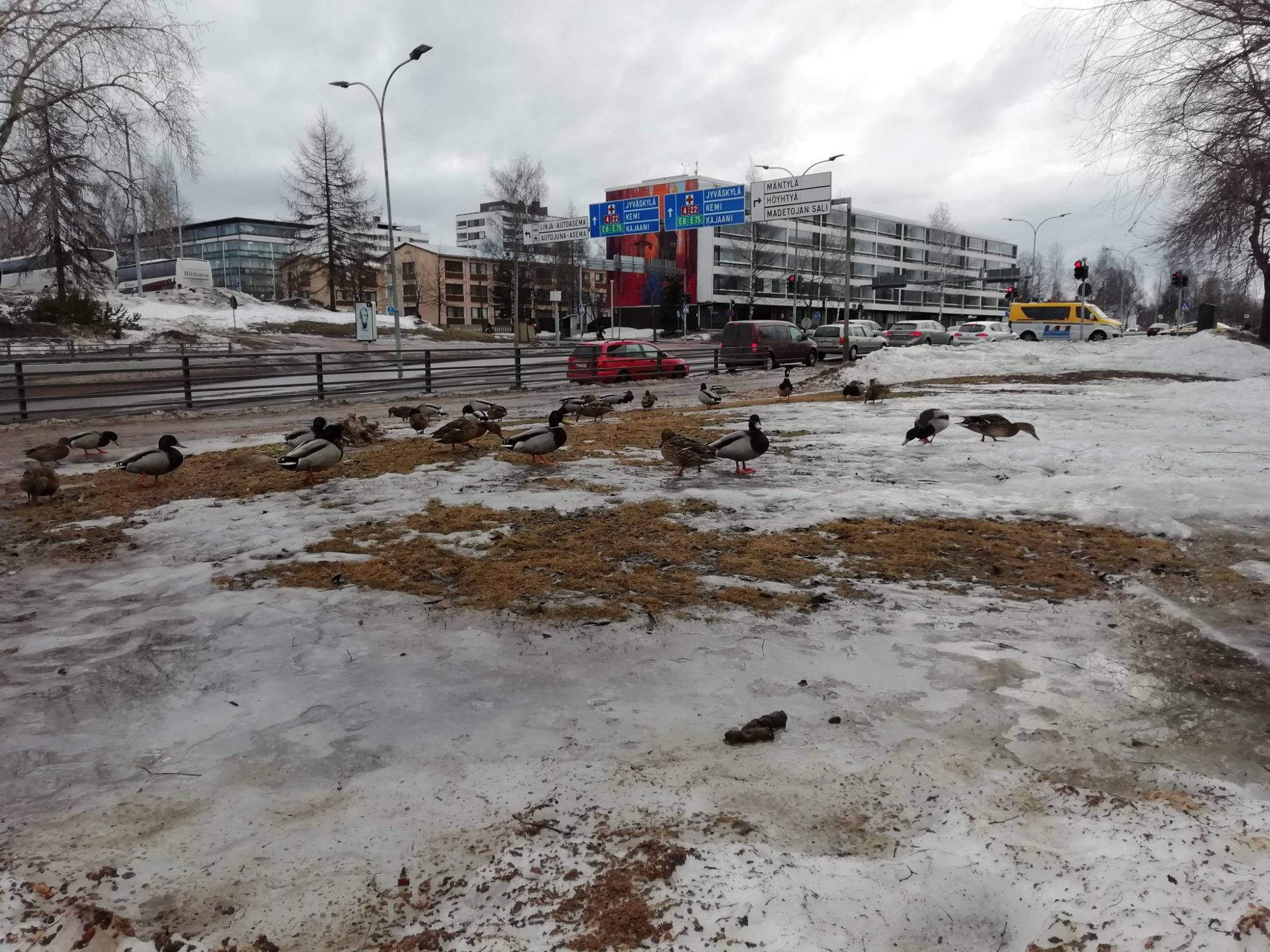 Valokuvaaja: Pekka Rahko Valokuvaaja: Pekka Rahko