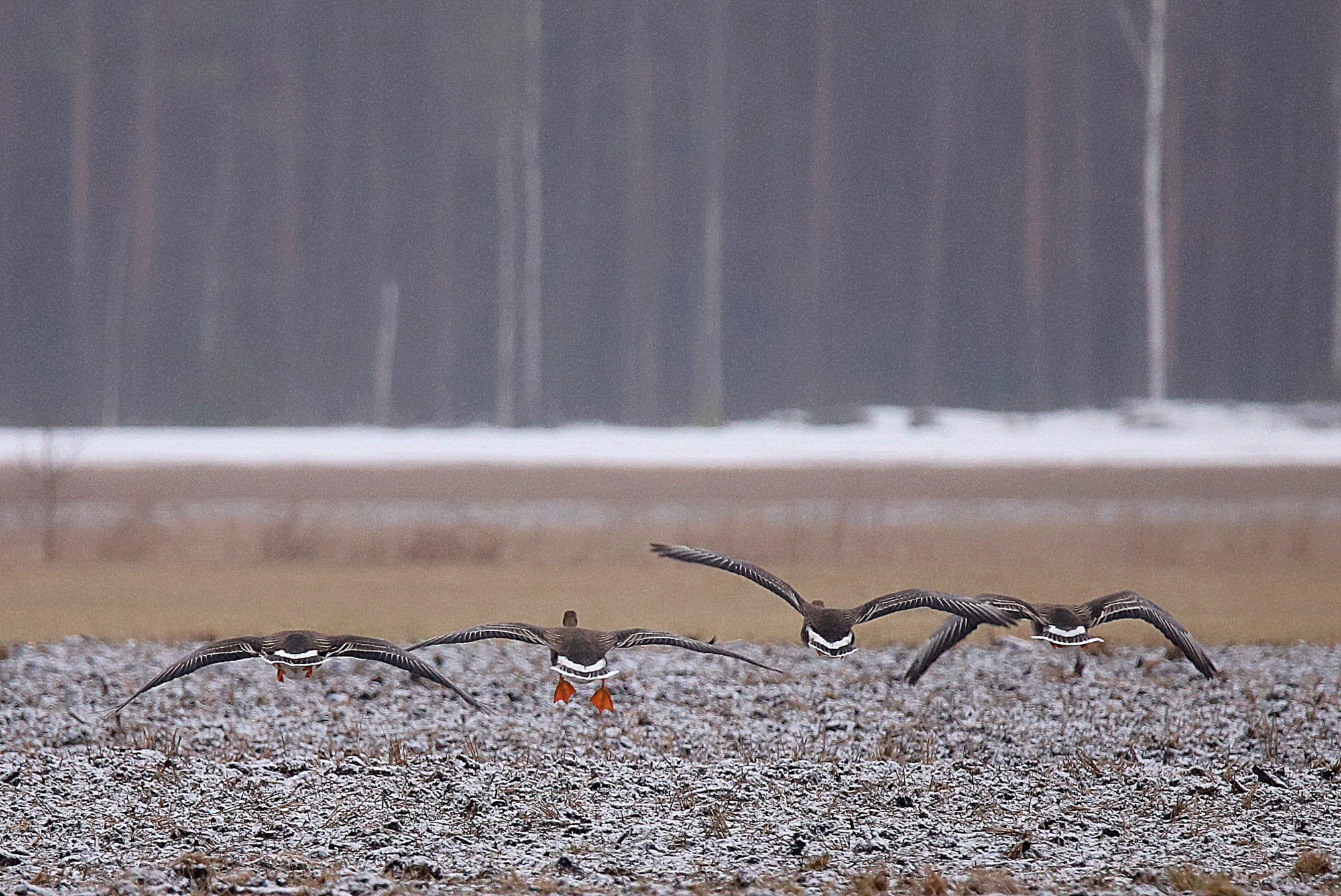 Valokuvaaja: sirpa jyske
