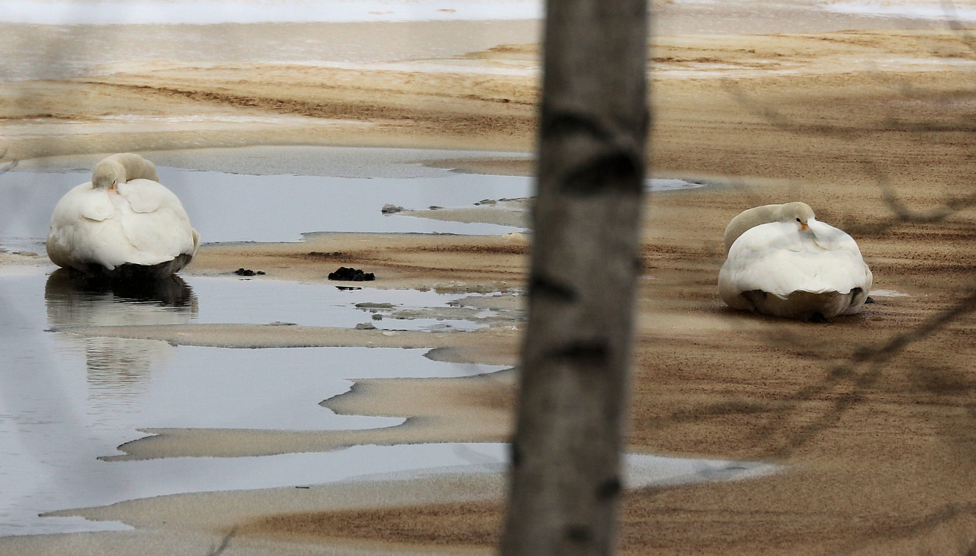 Valokuvaaja: Ahti Keränen