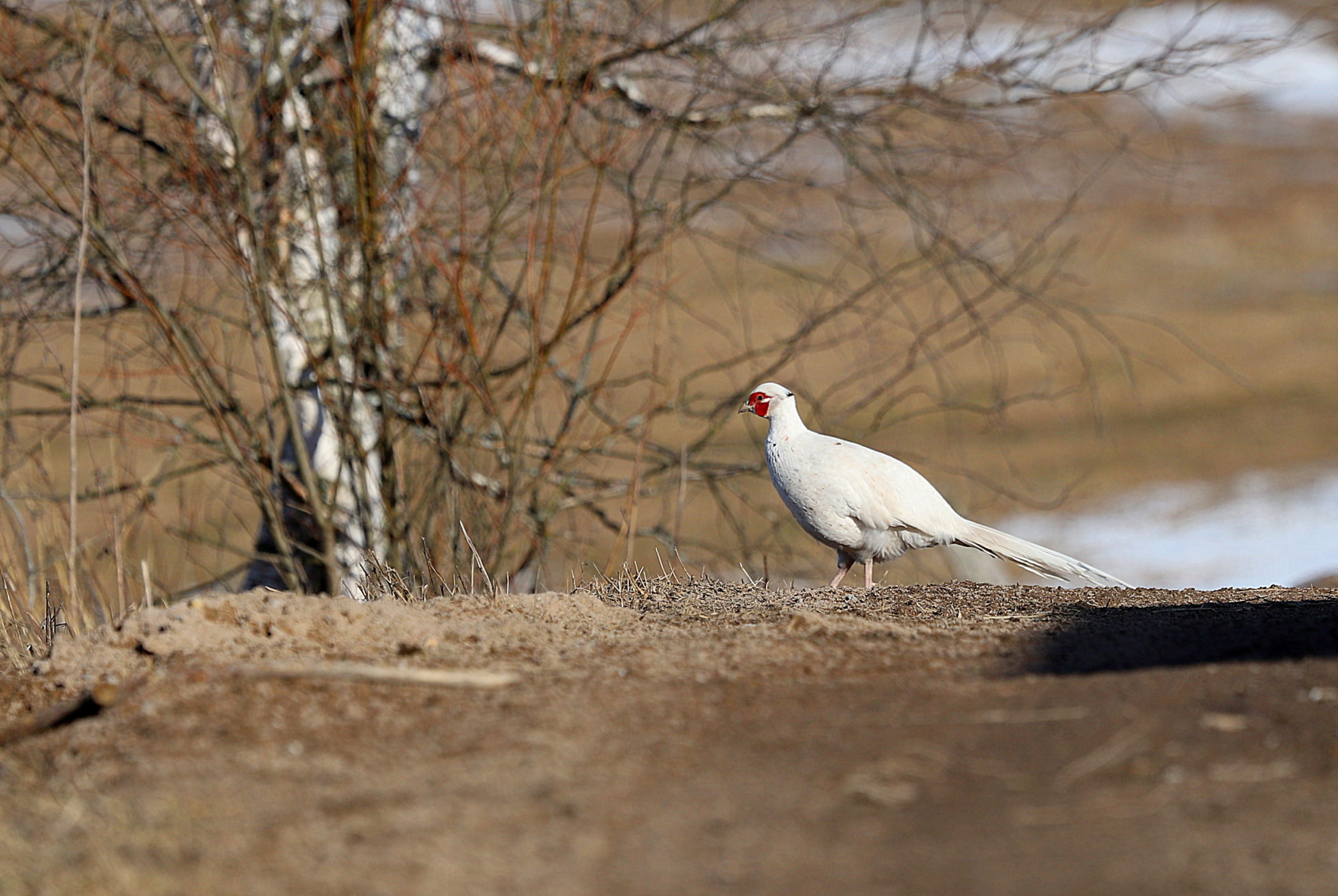 Valokuvaaja: sirpa jyske