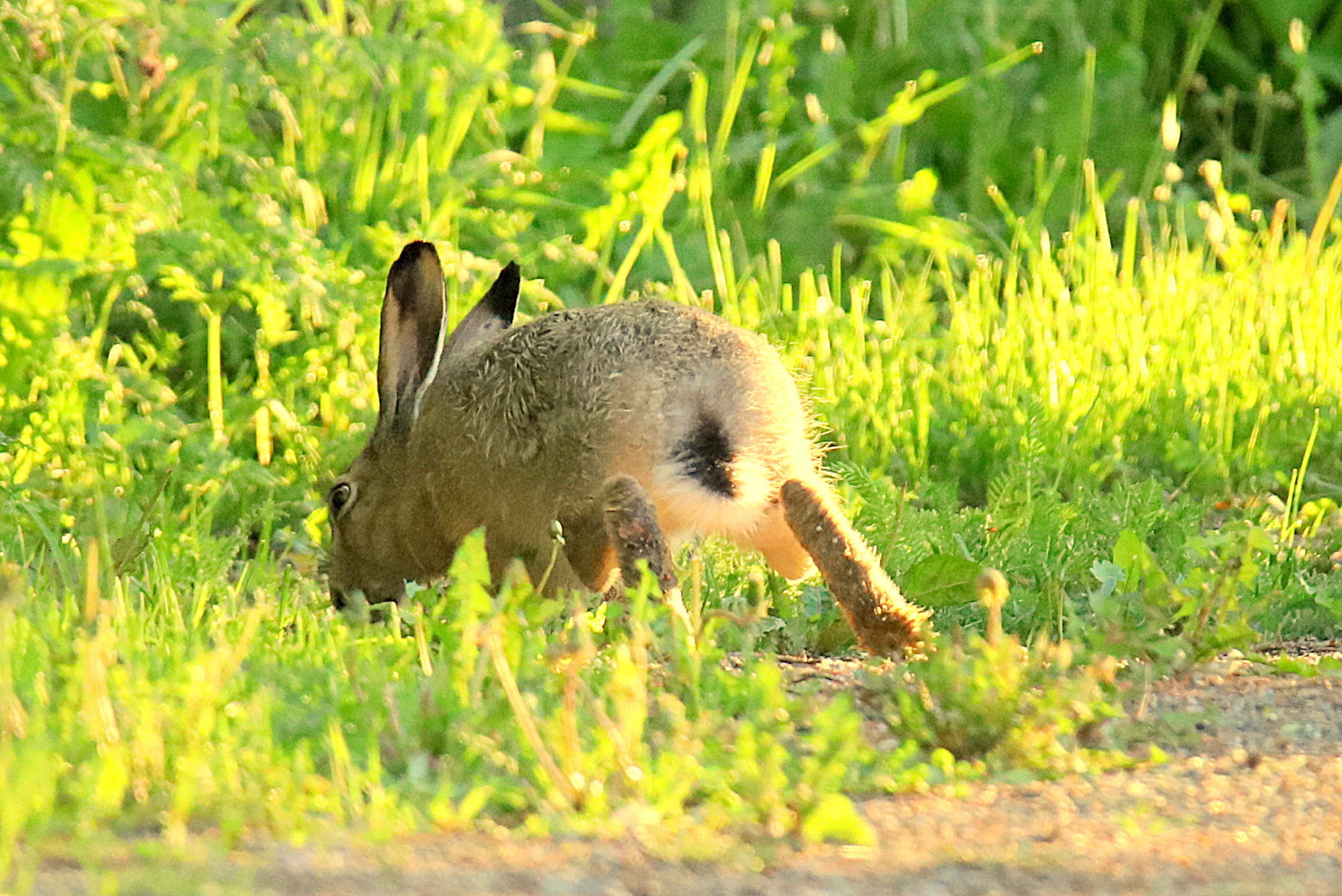 Valokuvaaja: sirpa jyske