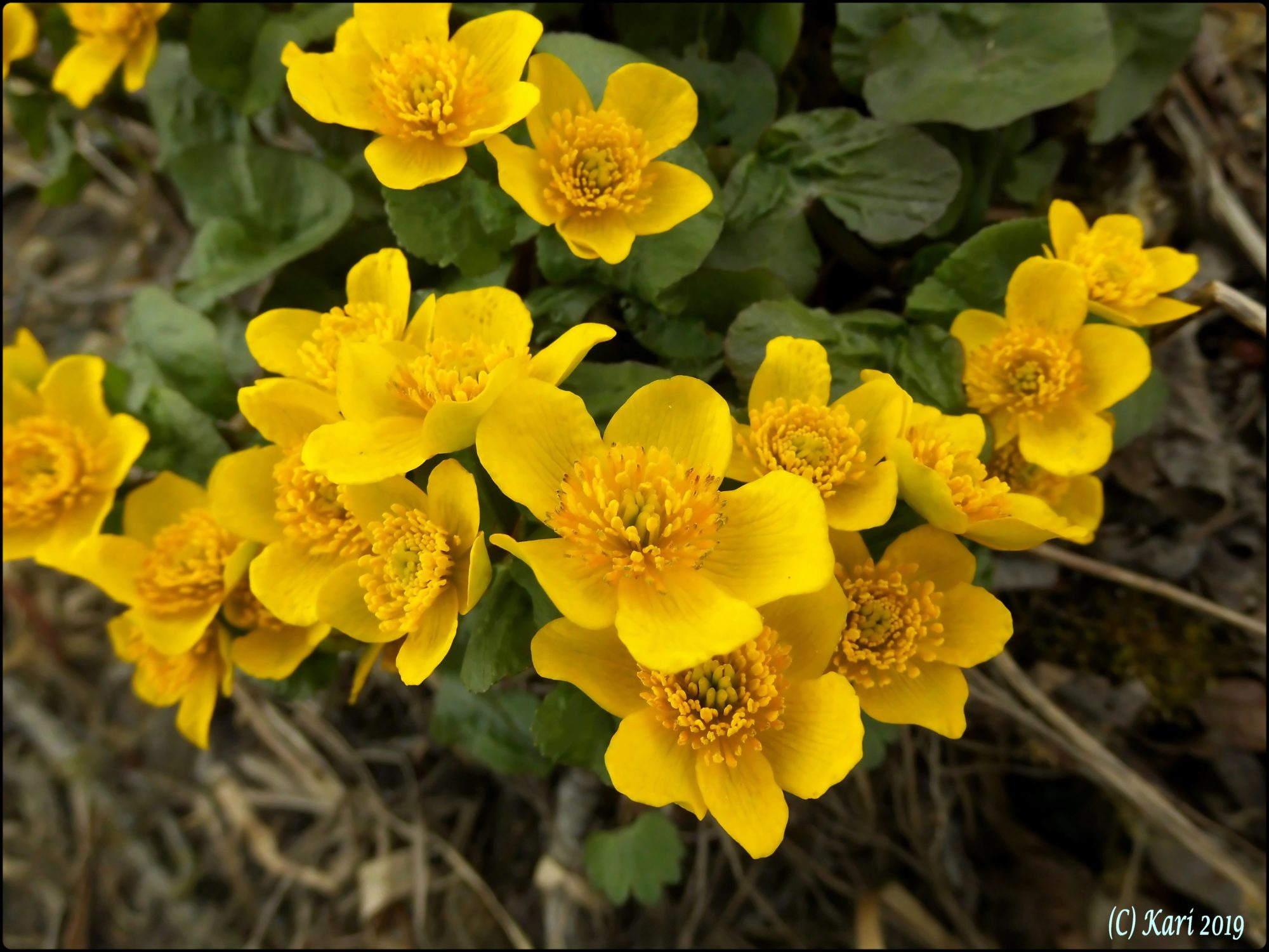 Valokuvaaja: Kari Saarinen