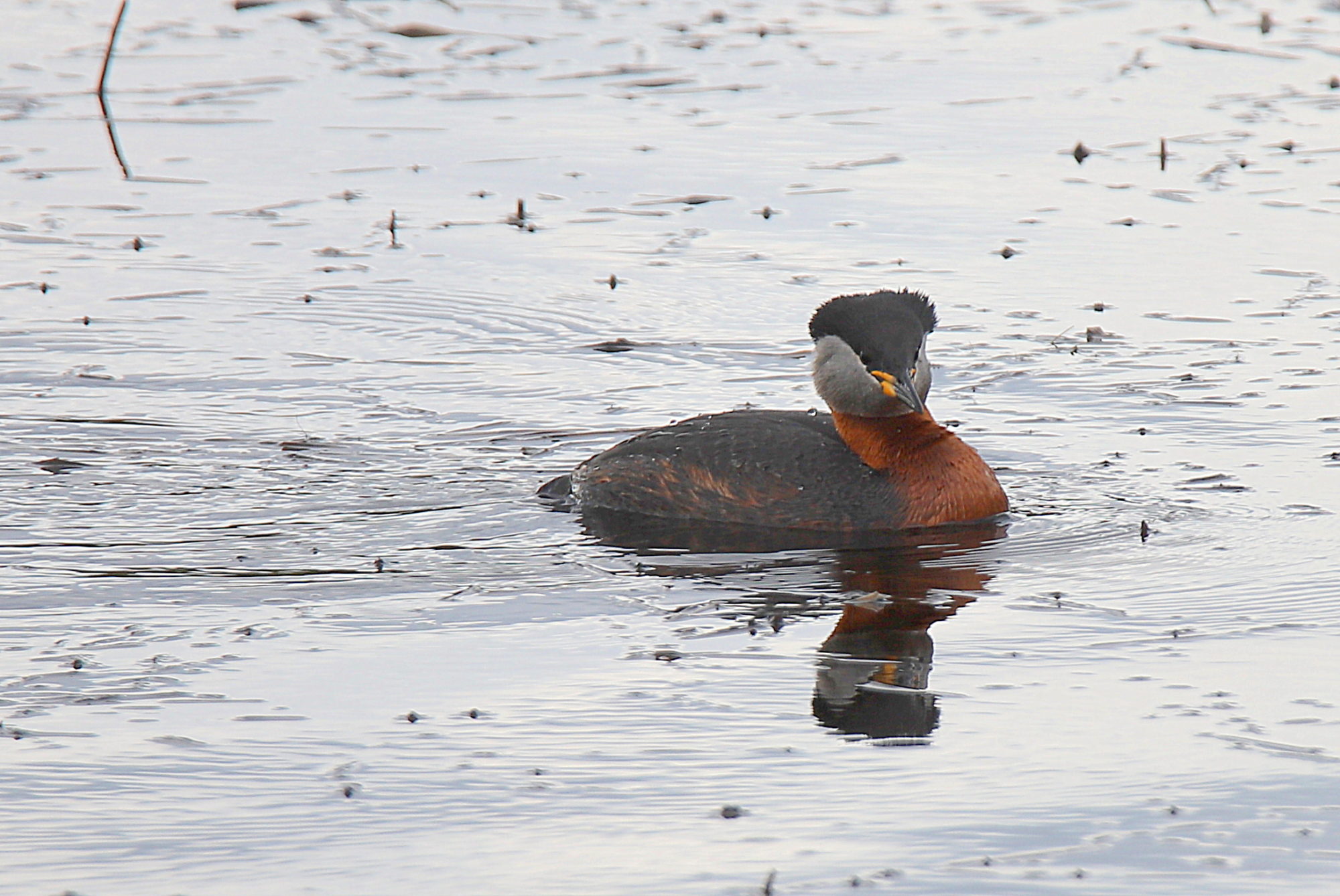 Valokuvaaja: sirpa jyske