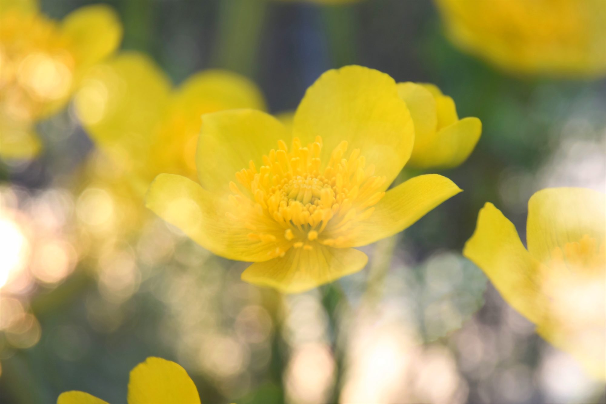 Valokuvaaja: Leena Rissanen