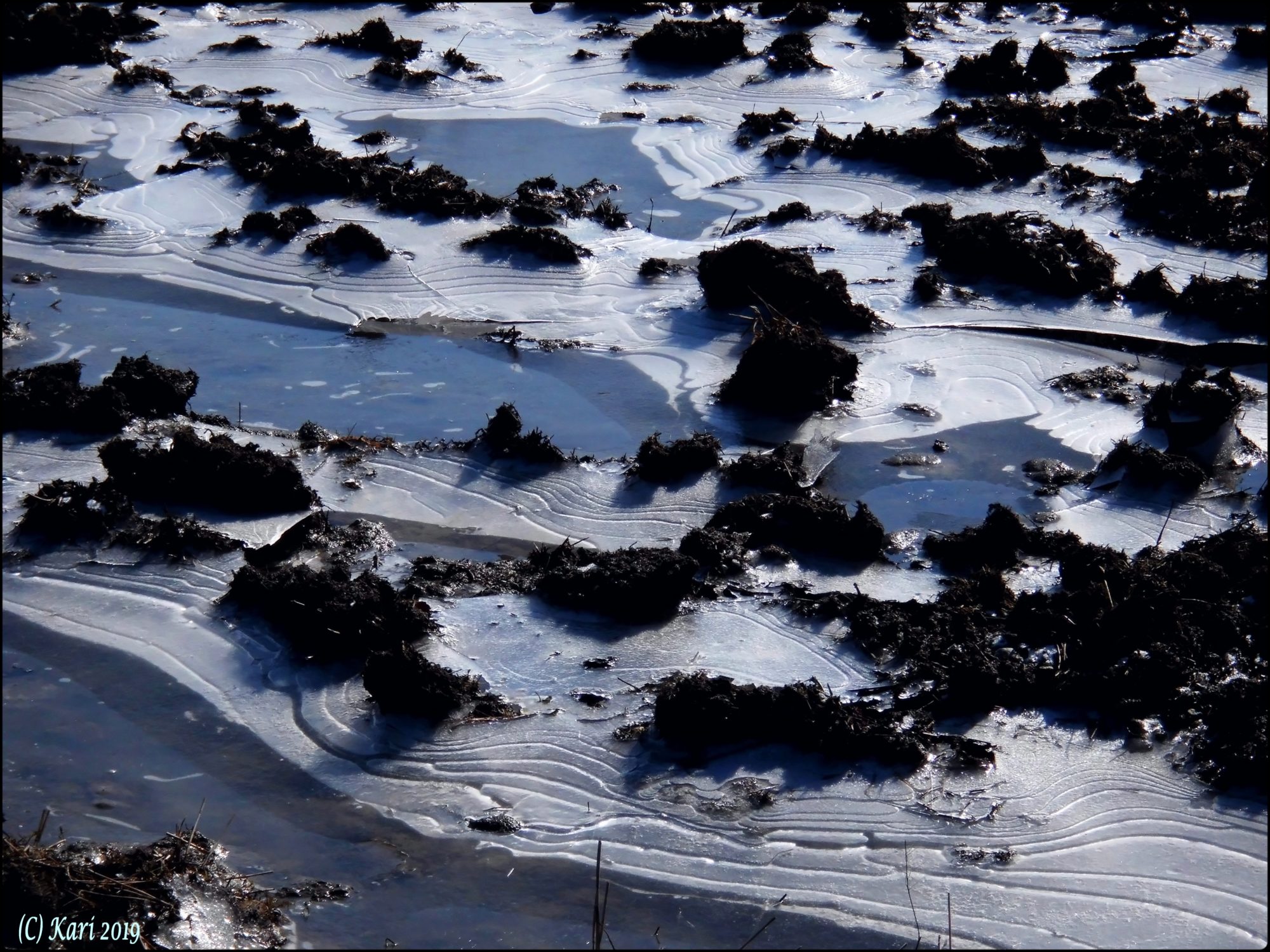 Valokuvaaja: Kari Saarinen Valokuvaaja: Kari Saarinen