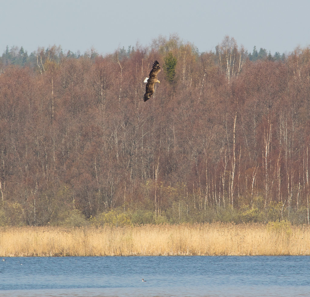 Valokuvaaja: Sami Aaltonen