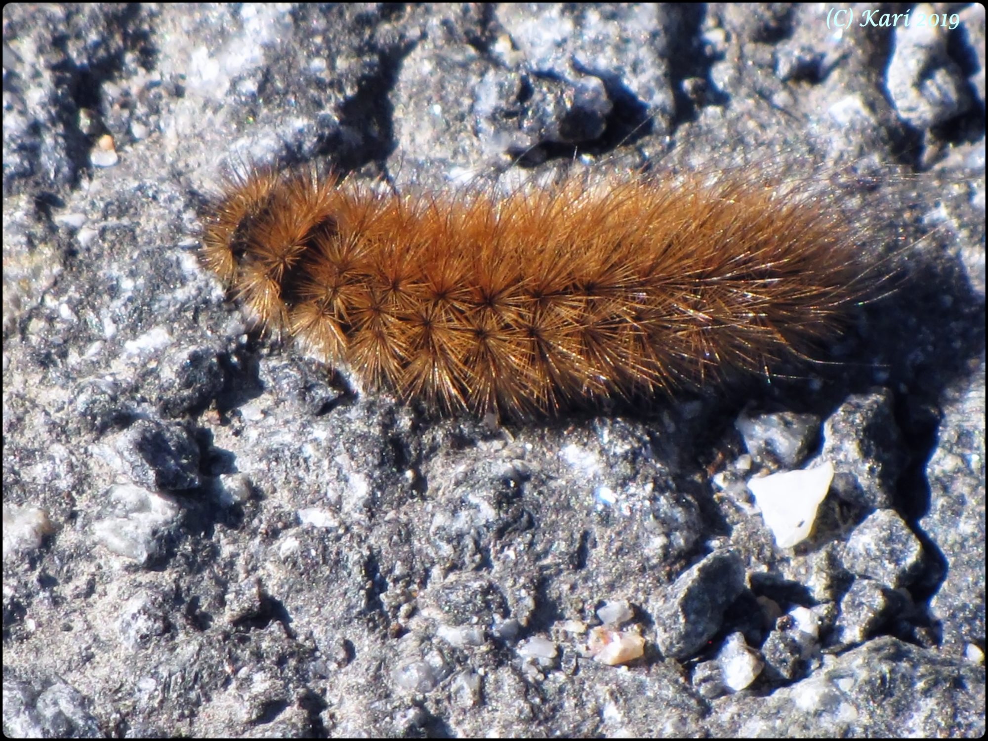 Valokuvaaja: Kari Saarinen