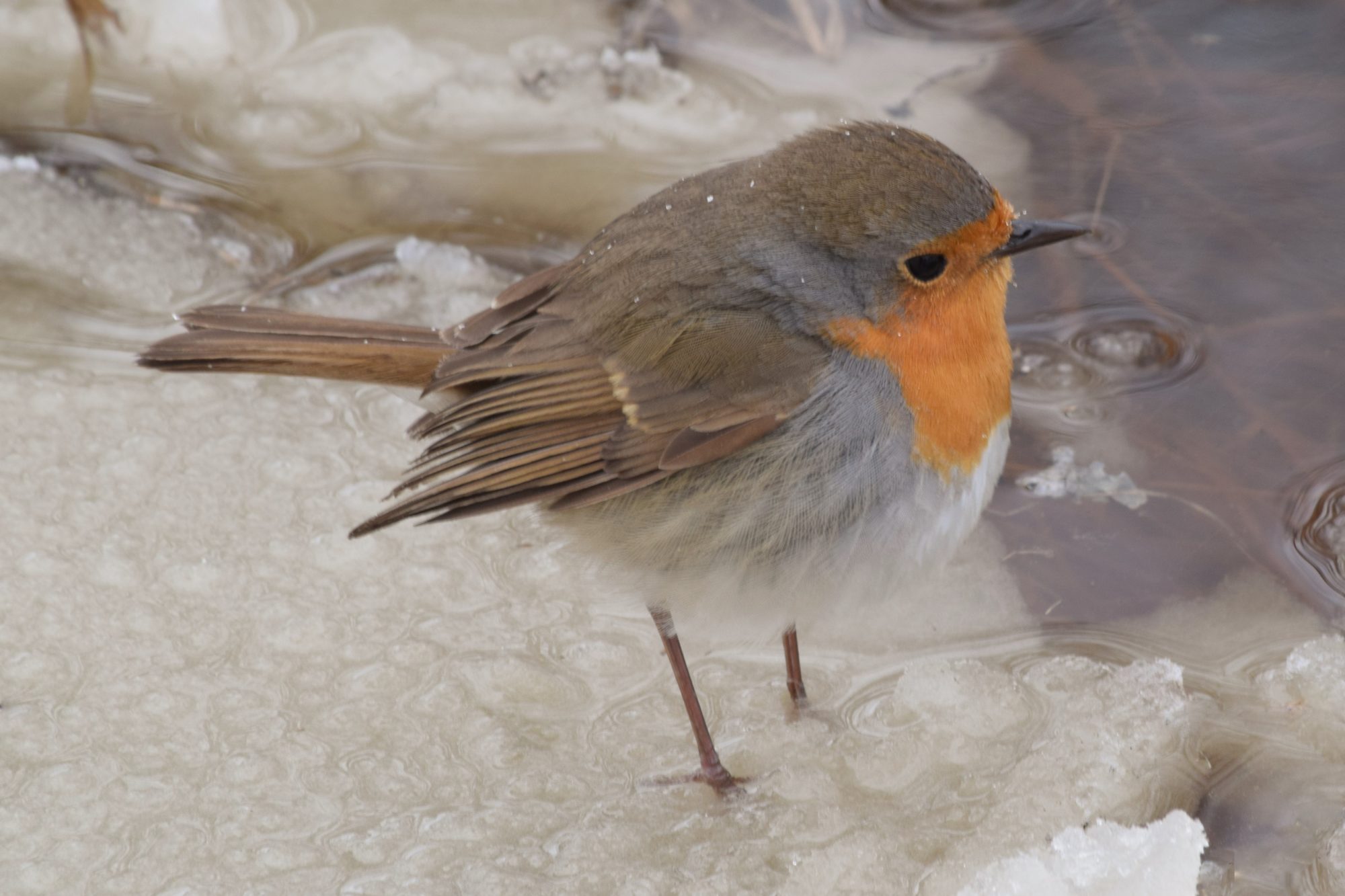 Valokuvaaja: Leena Rissanen
