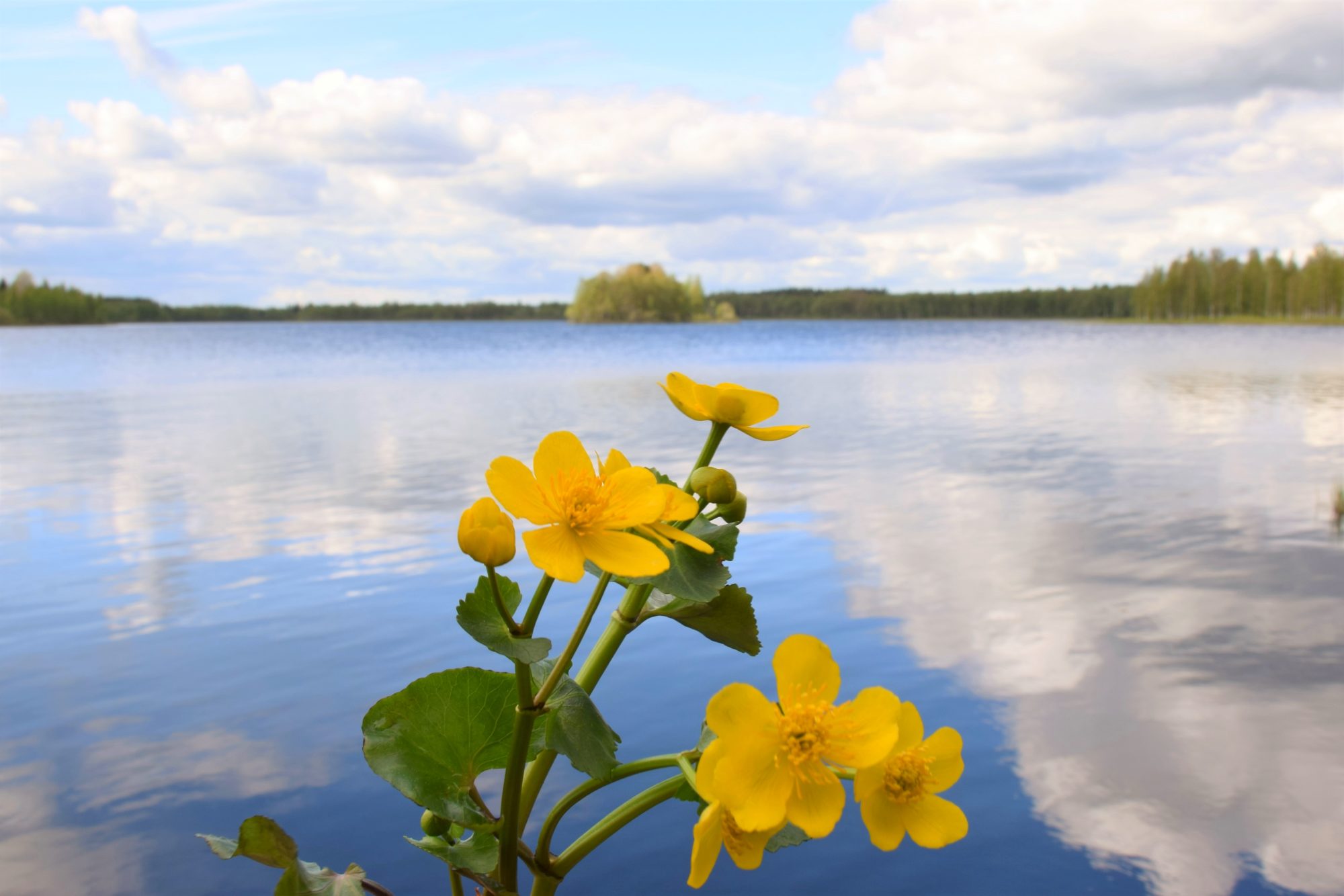 Valokuvaaja: Leena Rissanen