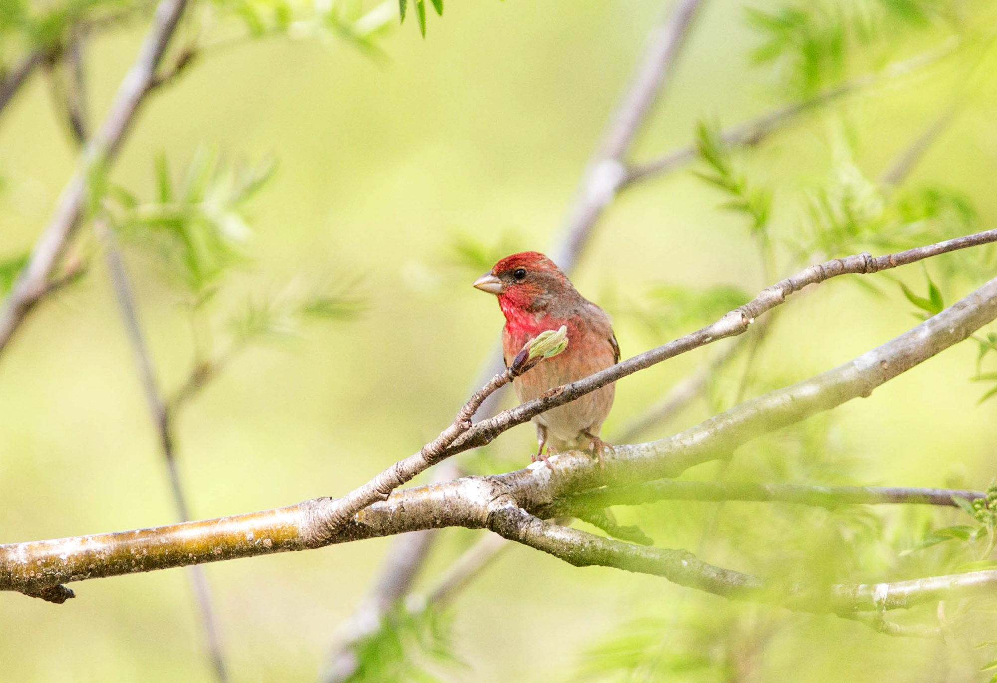Valokuvaaja: Irma Kortekallio