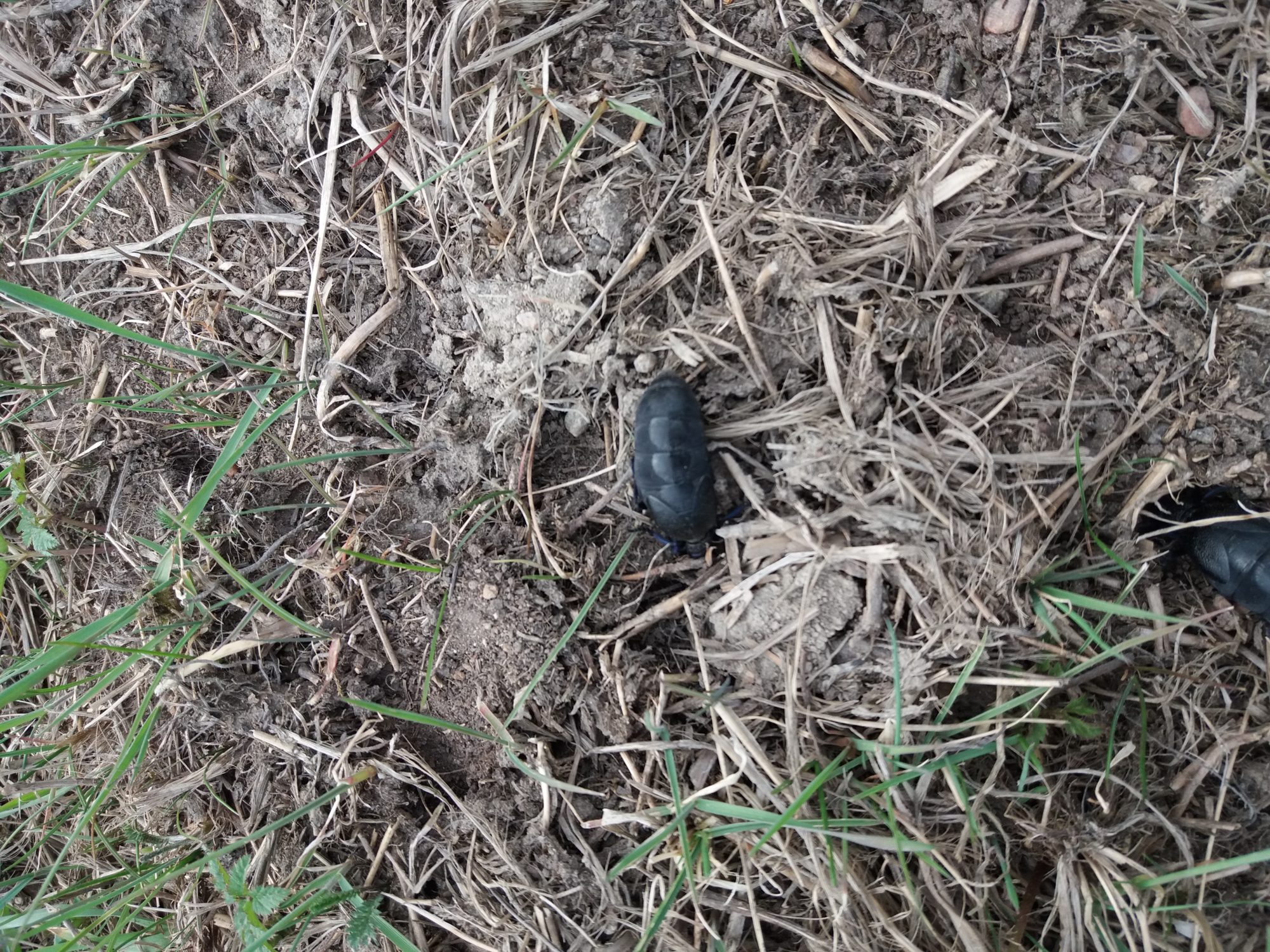 Valokuvaaja: Saara Merasto