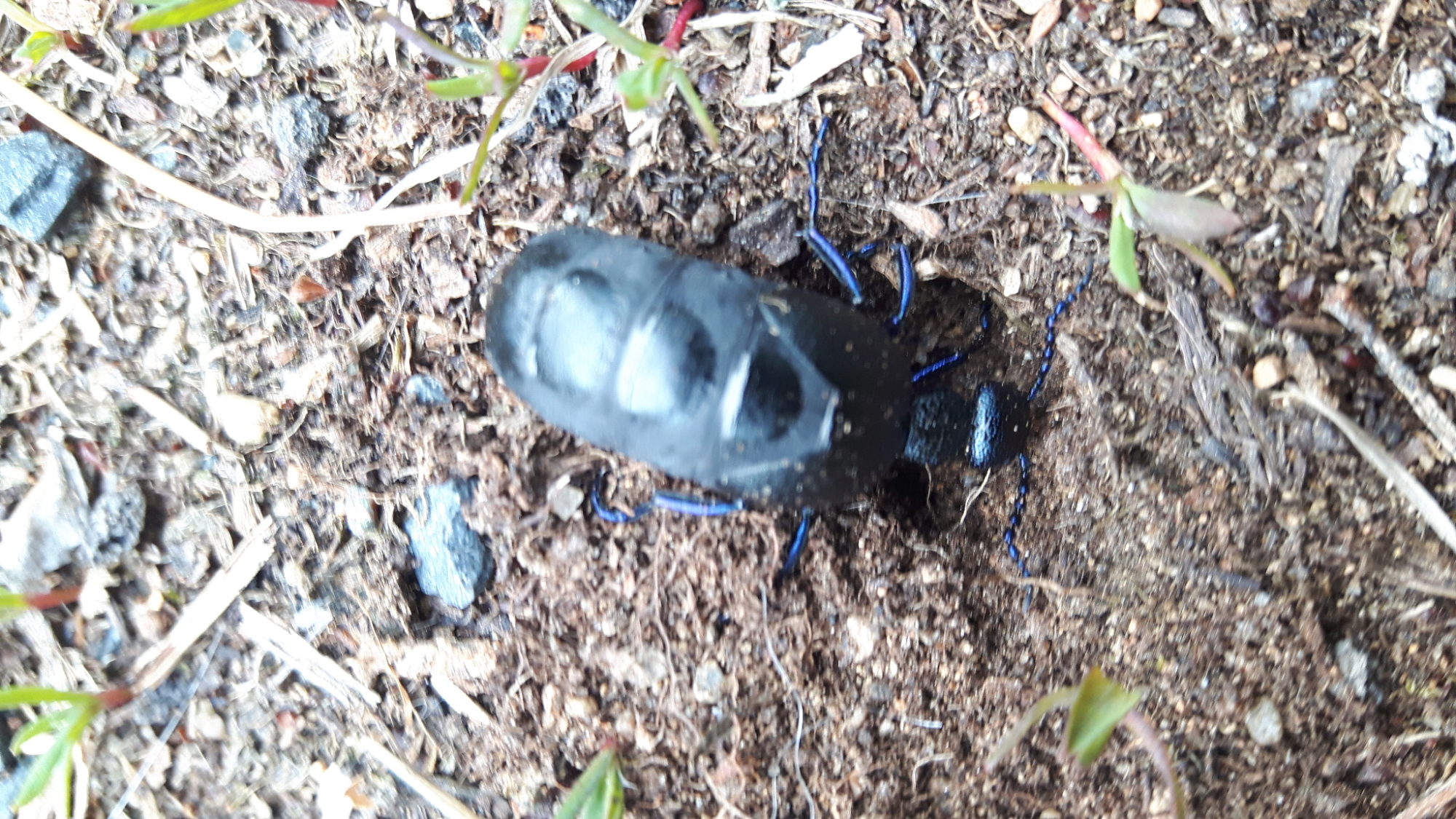 Valokuvaaja: Heini Toivonen