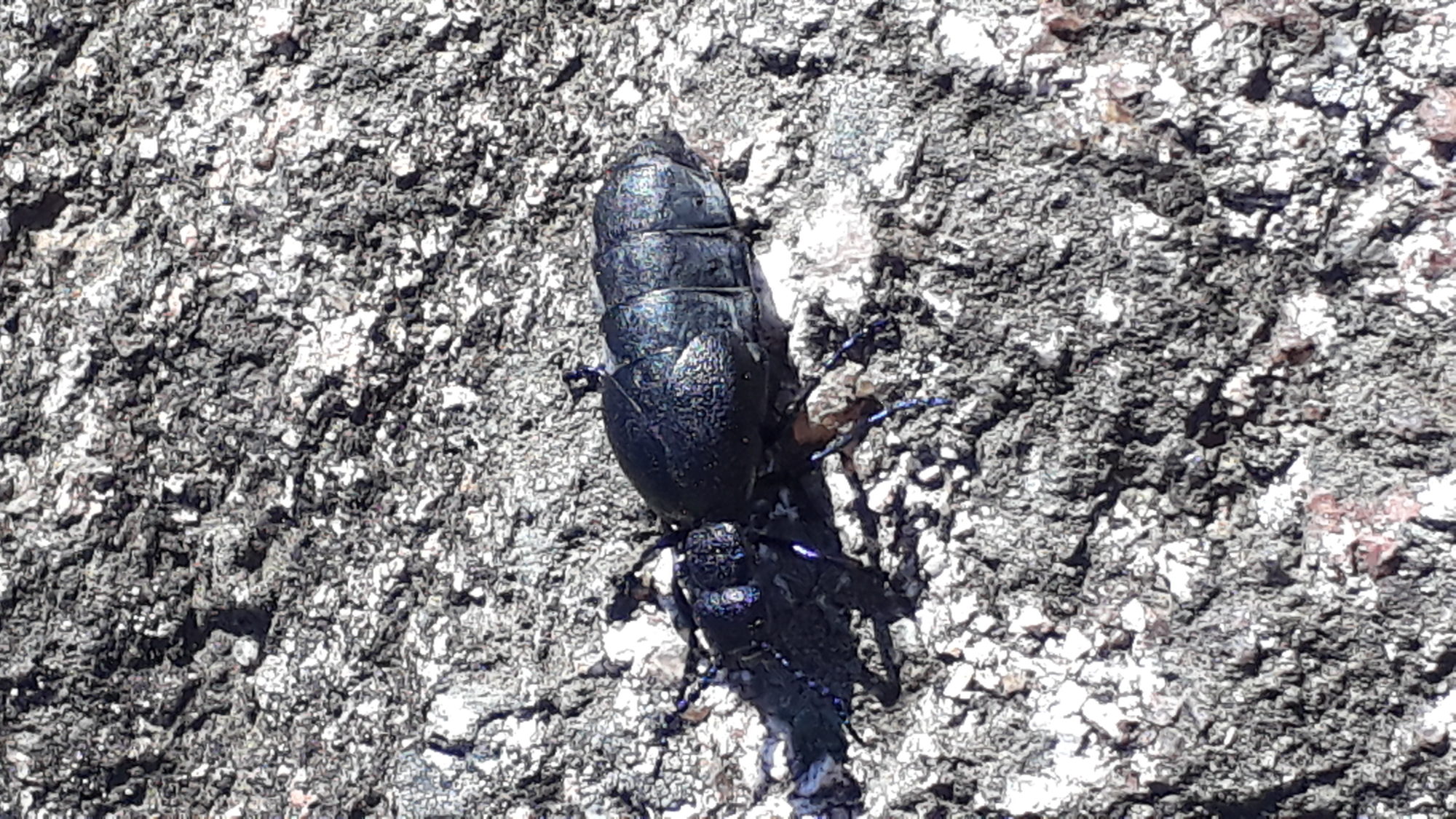 Valokuvaaja: Heidi Leppänen