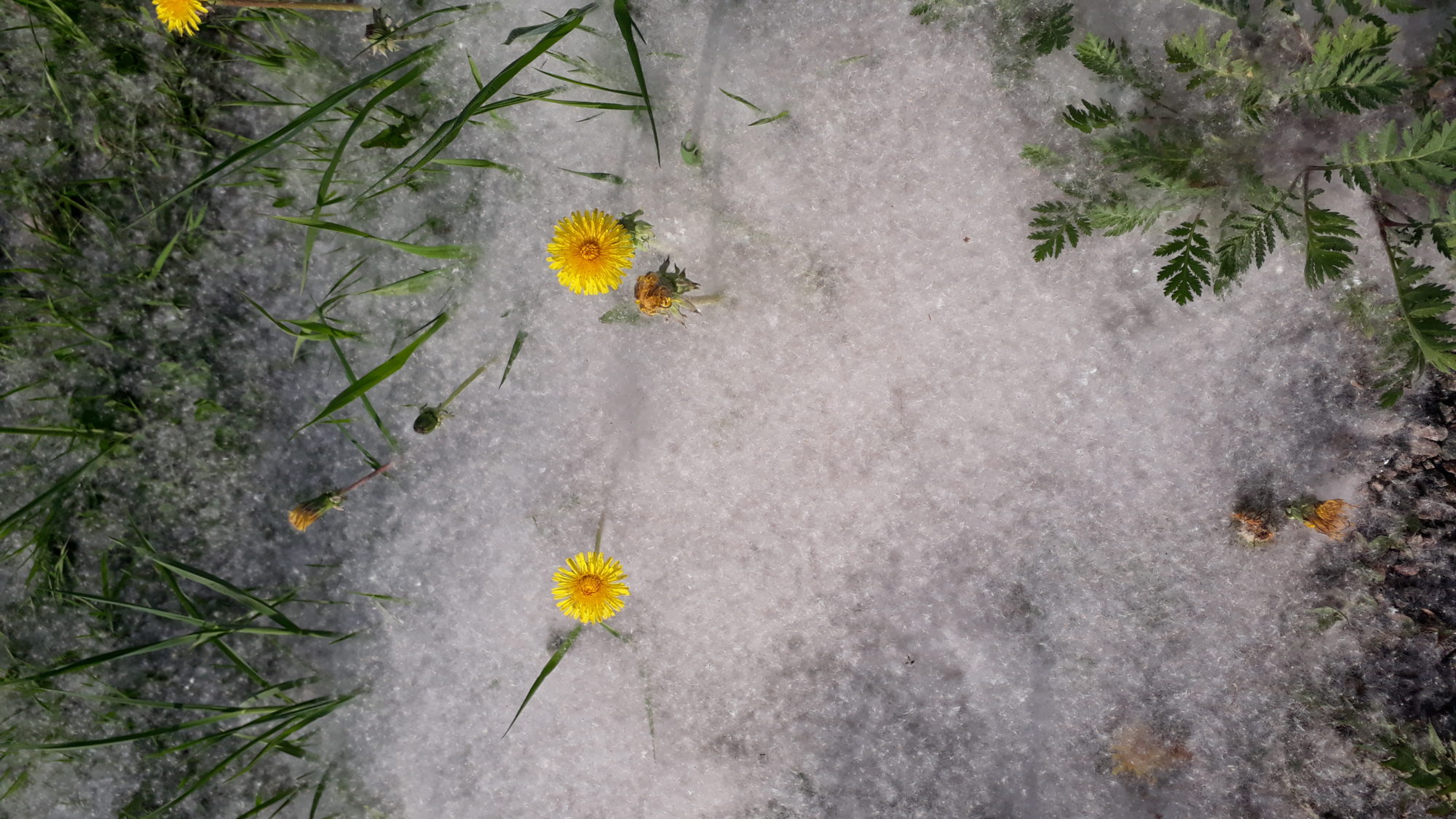 Valokuvaaja: Sini Jurvanen