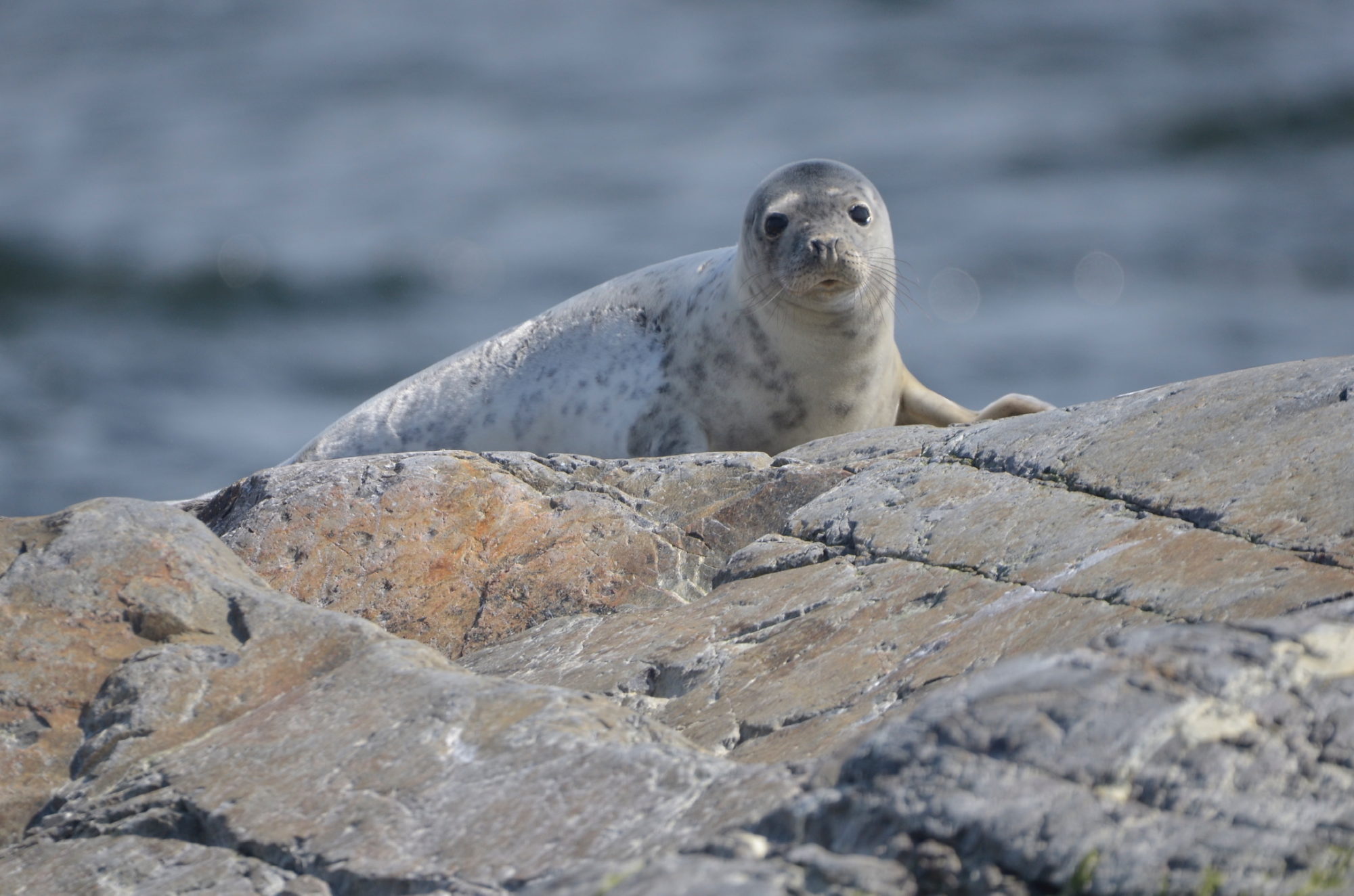 Valokuvaaja: Jouko Etelä