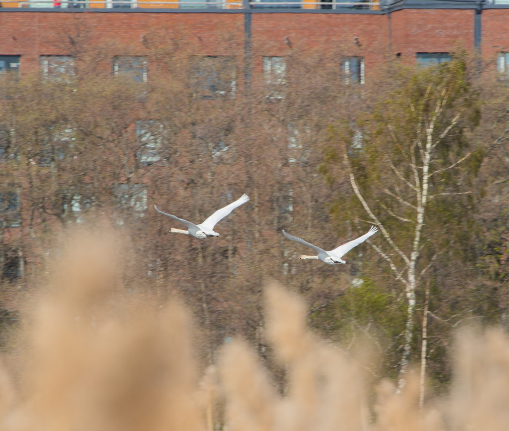 Valokuvaaja: Sami Aaltonen Valokuvaaja: Sami Aaltonen