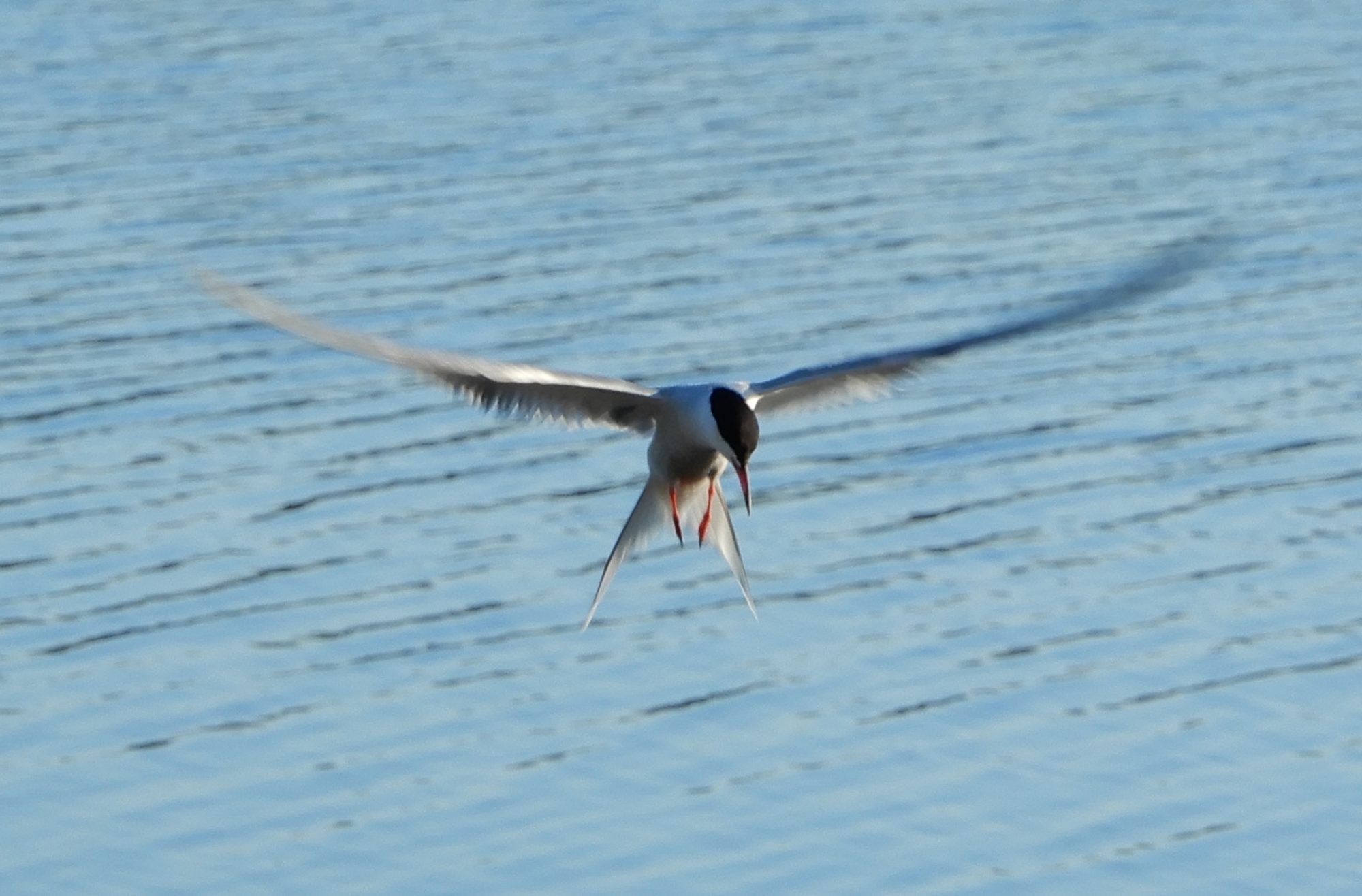 Valokuvaaja: Arto Laine