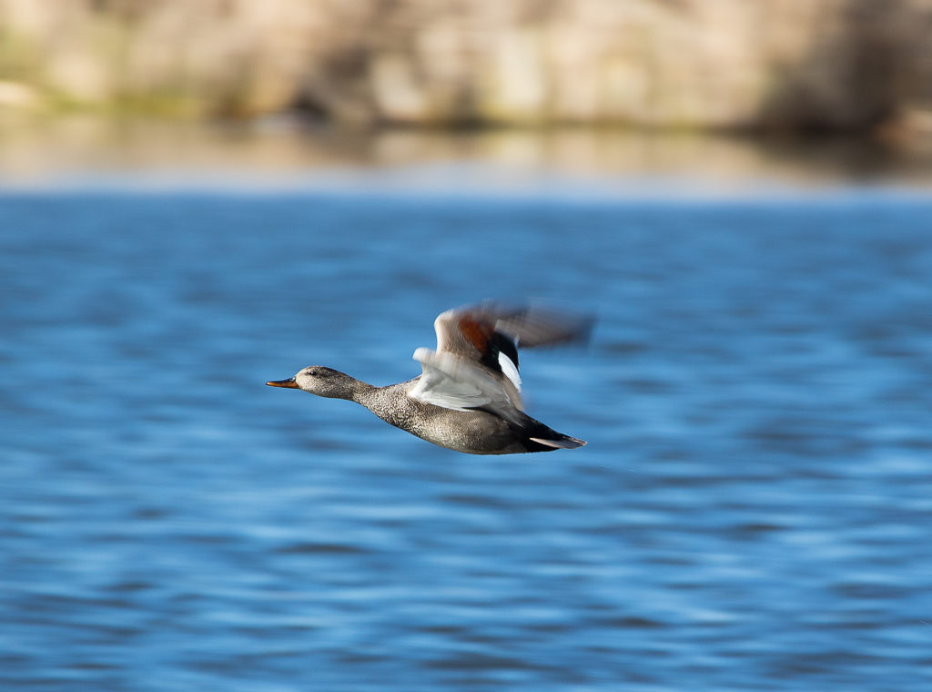 Valokuvaaja: Sami Aaltonen Valokuvaaja: Sami Aaltonen