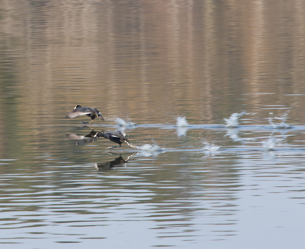 Valokuvaaja: Sami Aaltonen