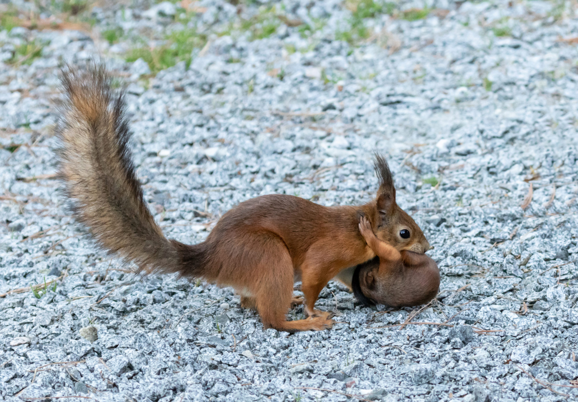 Valokuvaaja: Susanna Hietanen