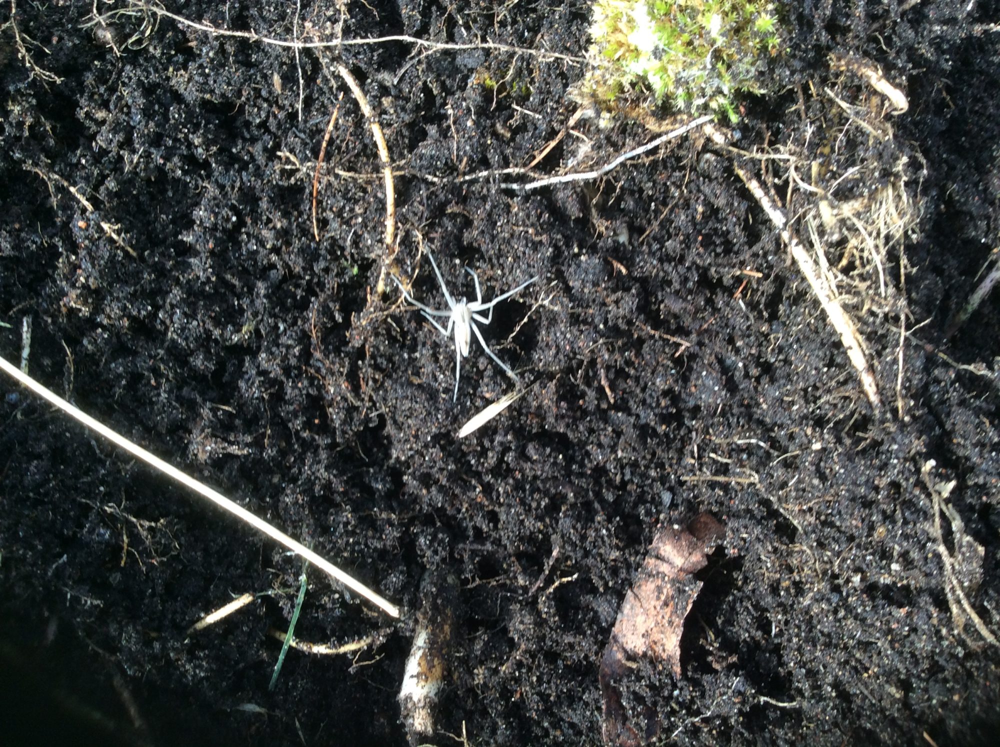 Valokuvaaja: Sari Pitkänen