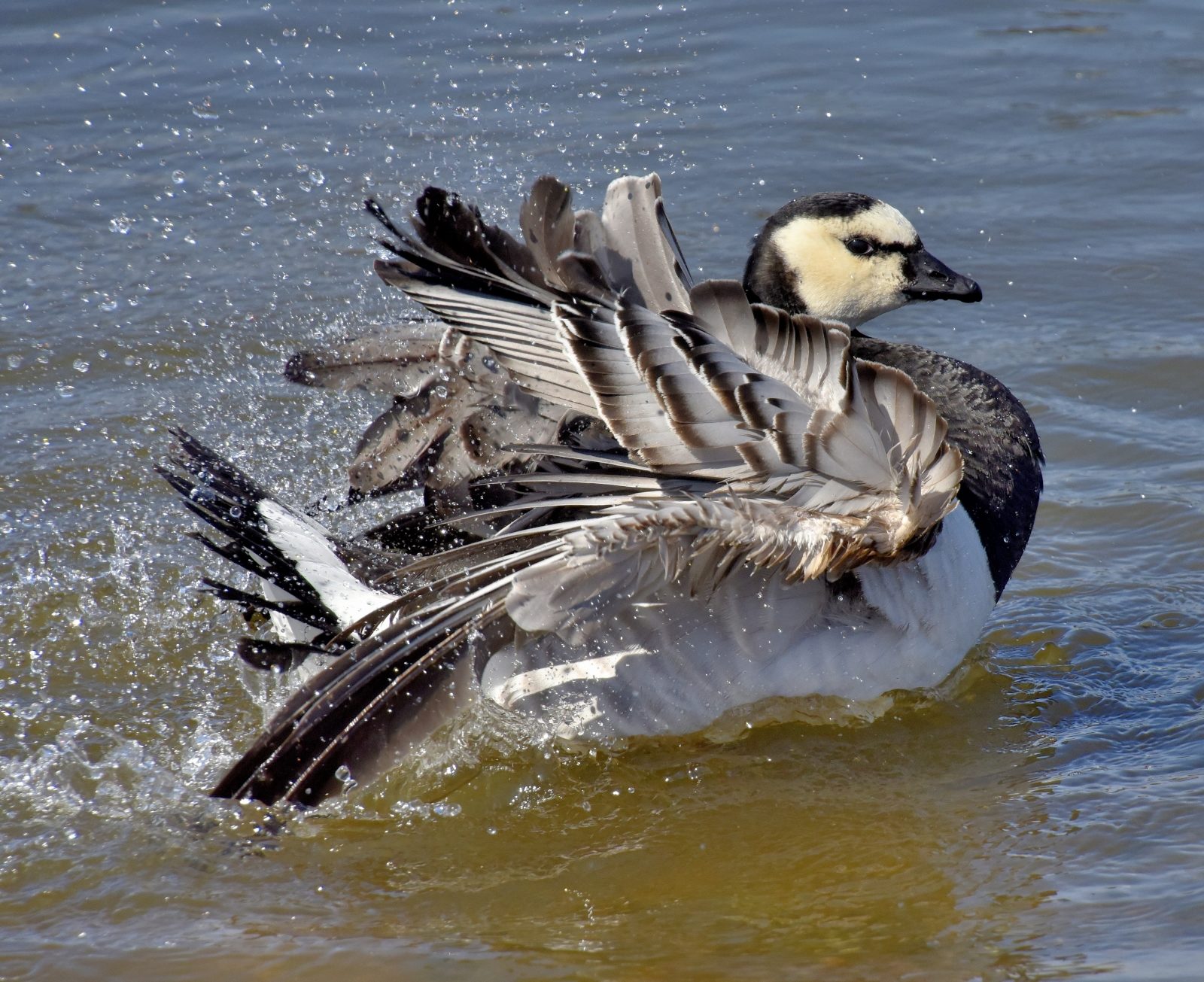 Valokuvaaja: Reijo Juurinen