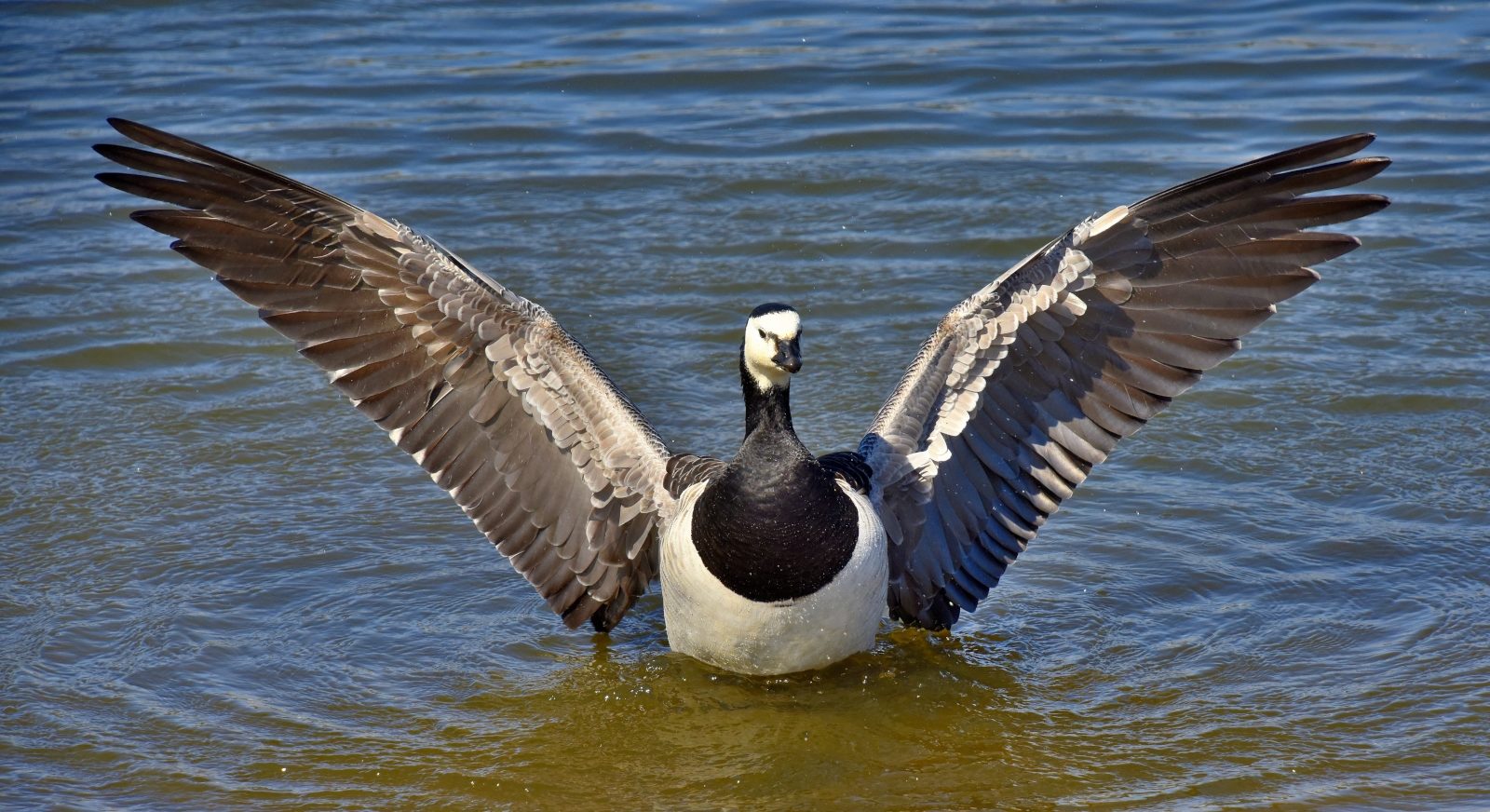 Valokuvaaja: Reijo Juurinen
