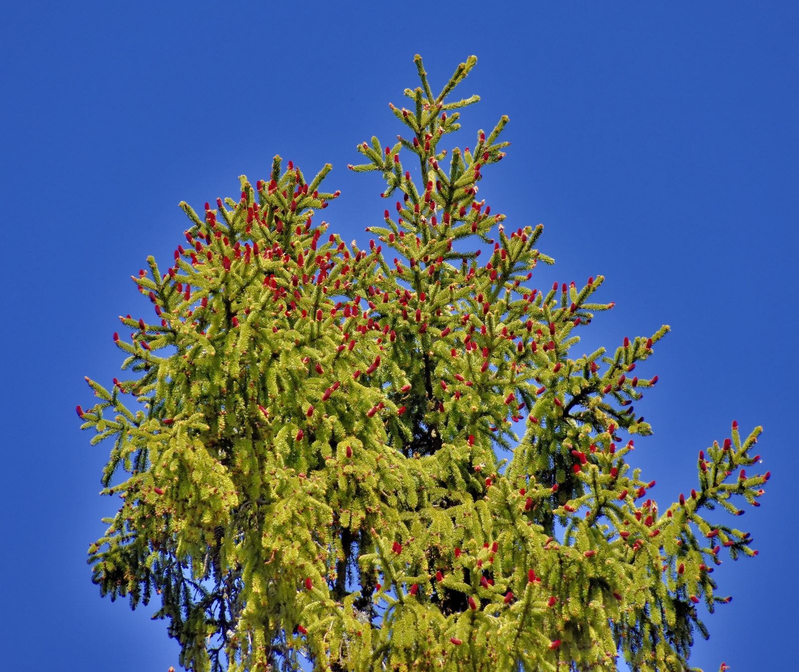 Valokuvaaja: Reijo Juurinen Valokuvaaja: Reijo Juurinen