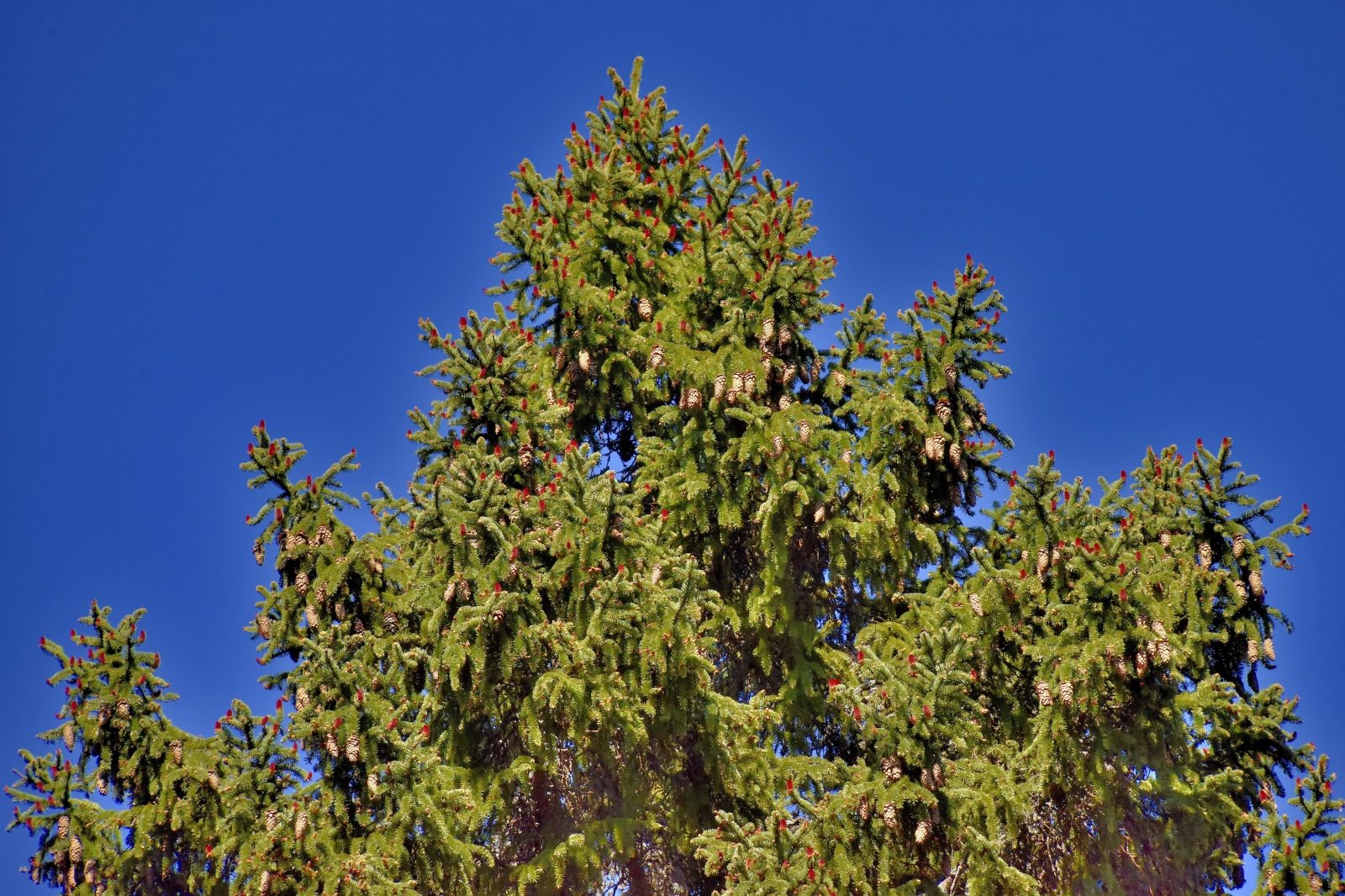 Valokuvaaja: Reijo Juurinen