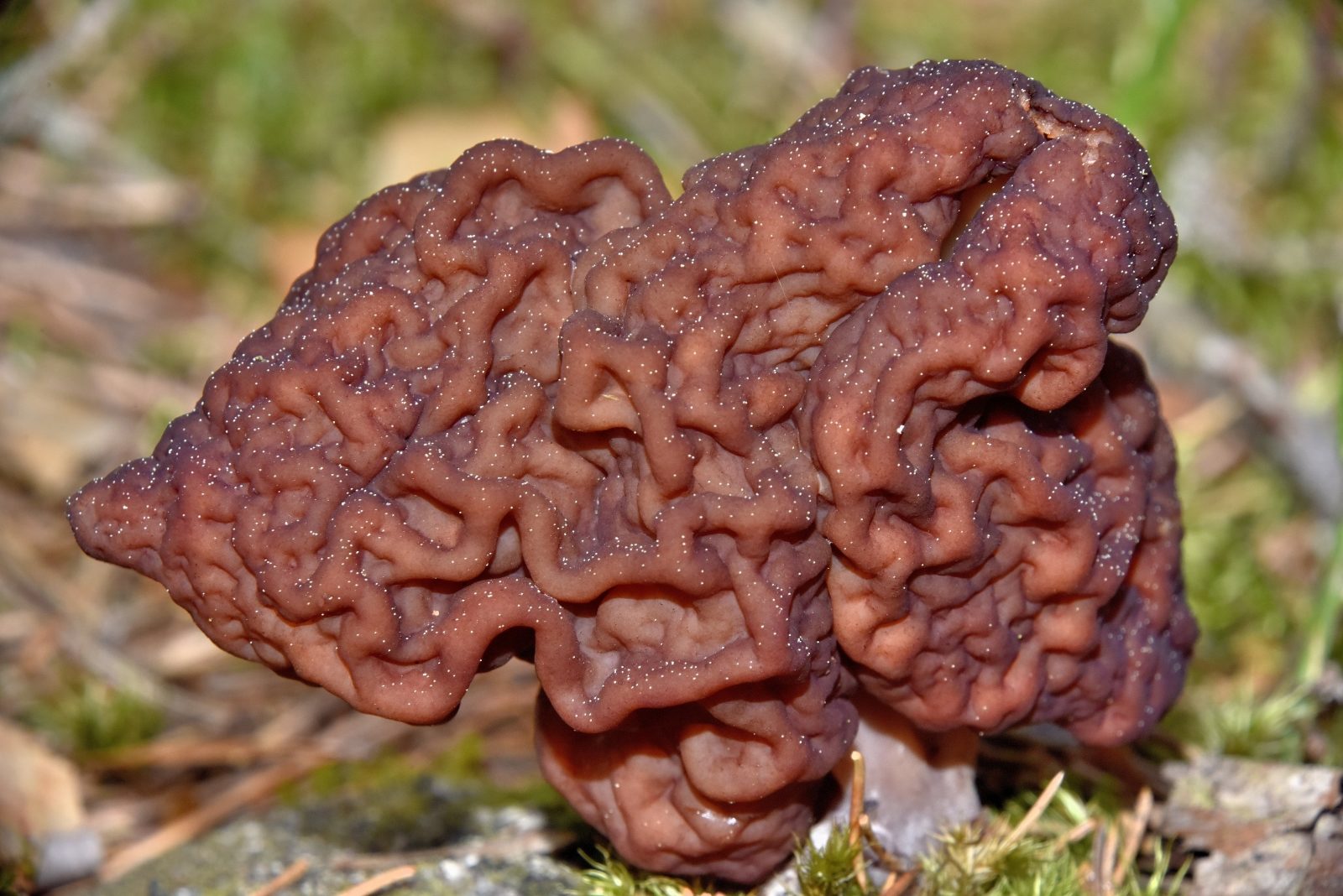 Valokuvaaja: Reijo Juurinen