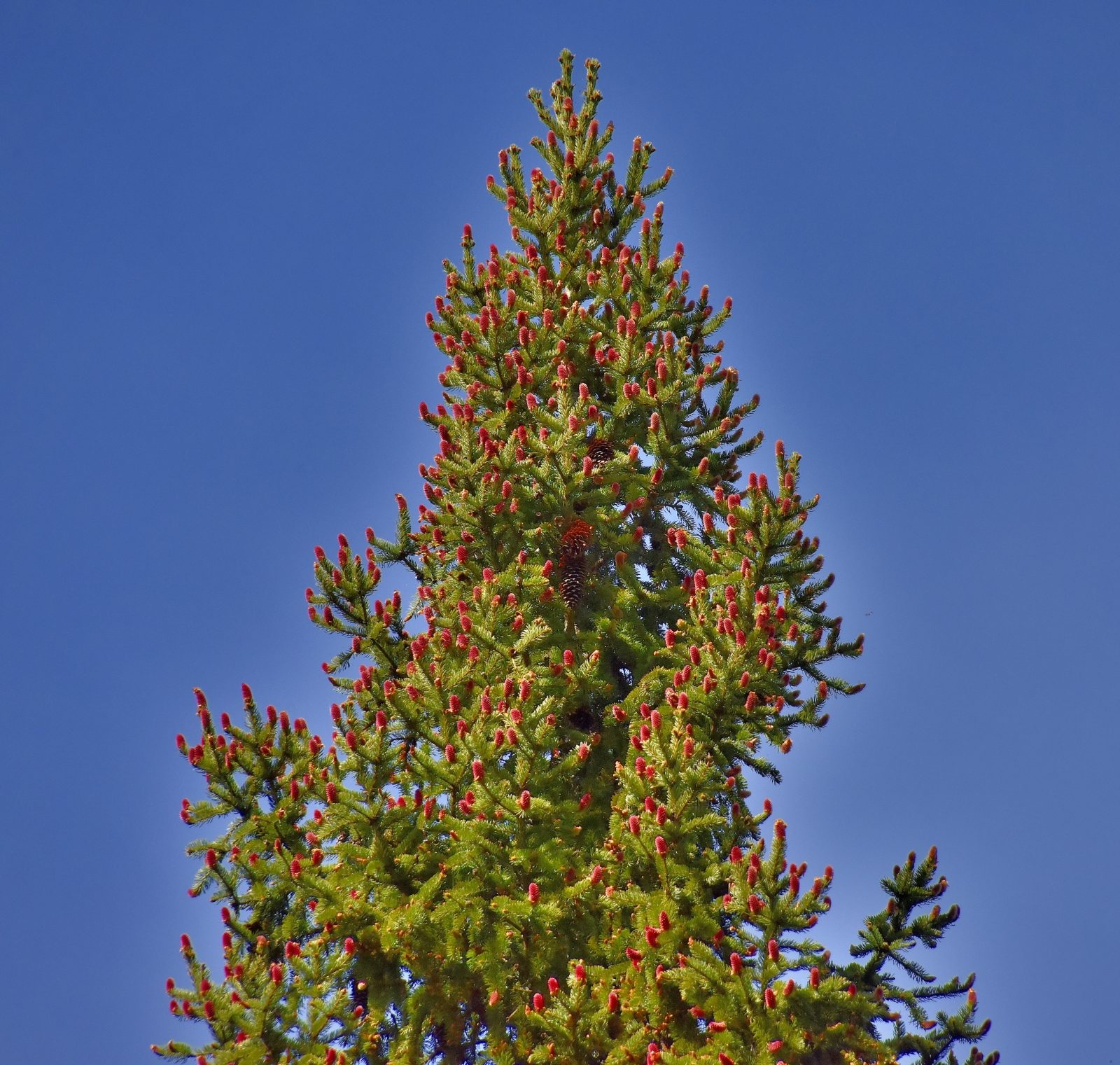 Valokuvaaja: Reijo Juurinen
