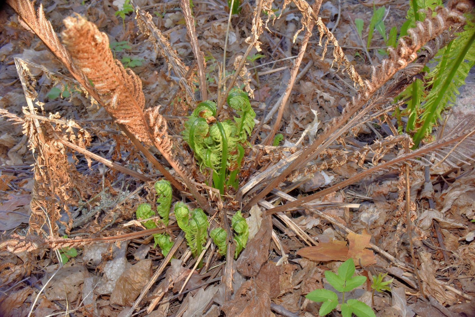 Valokuvaaja: Reijo Juurinen