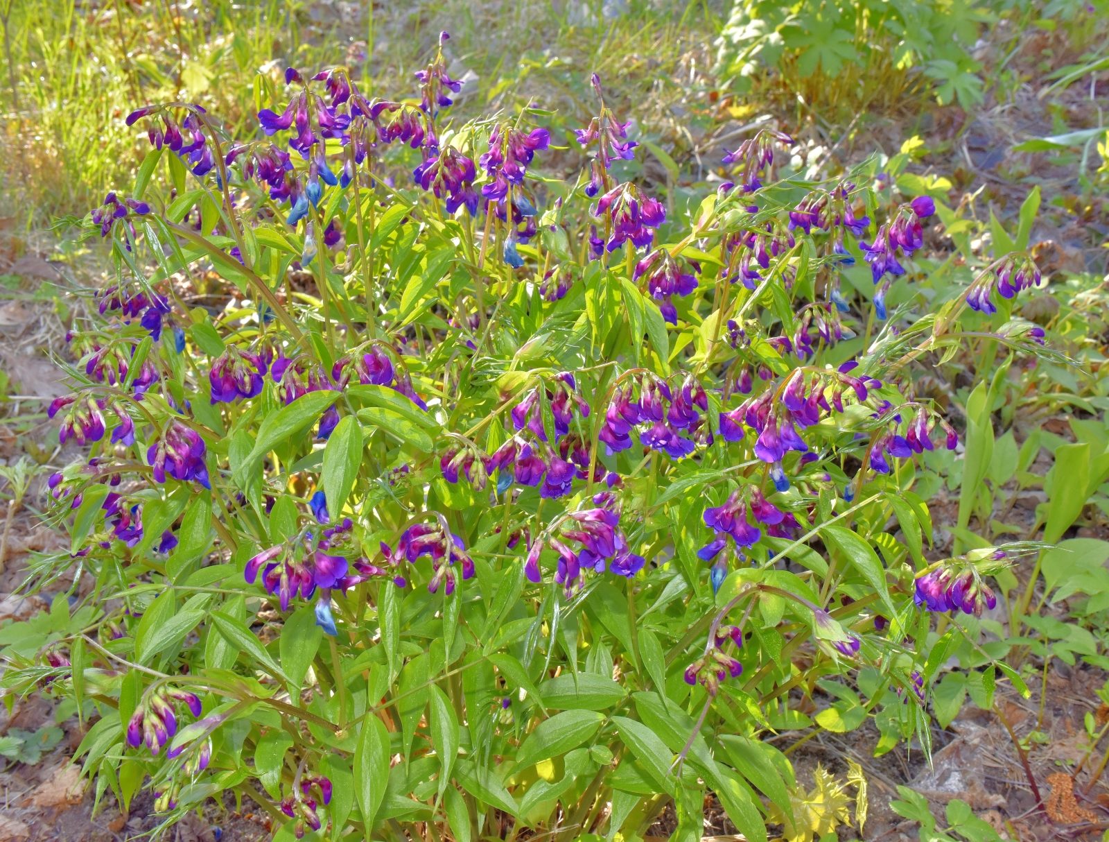 Valokuvaaja: Reijo Juurinen