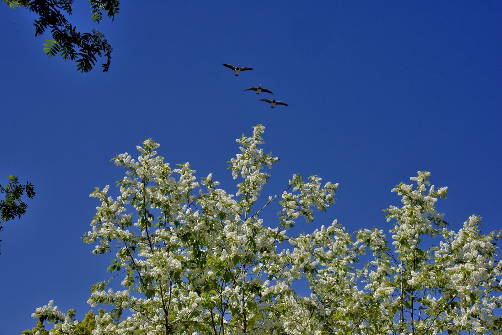 Valokuvaaja: Reijo Juurinen