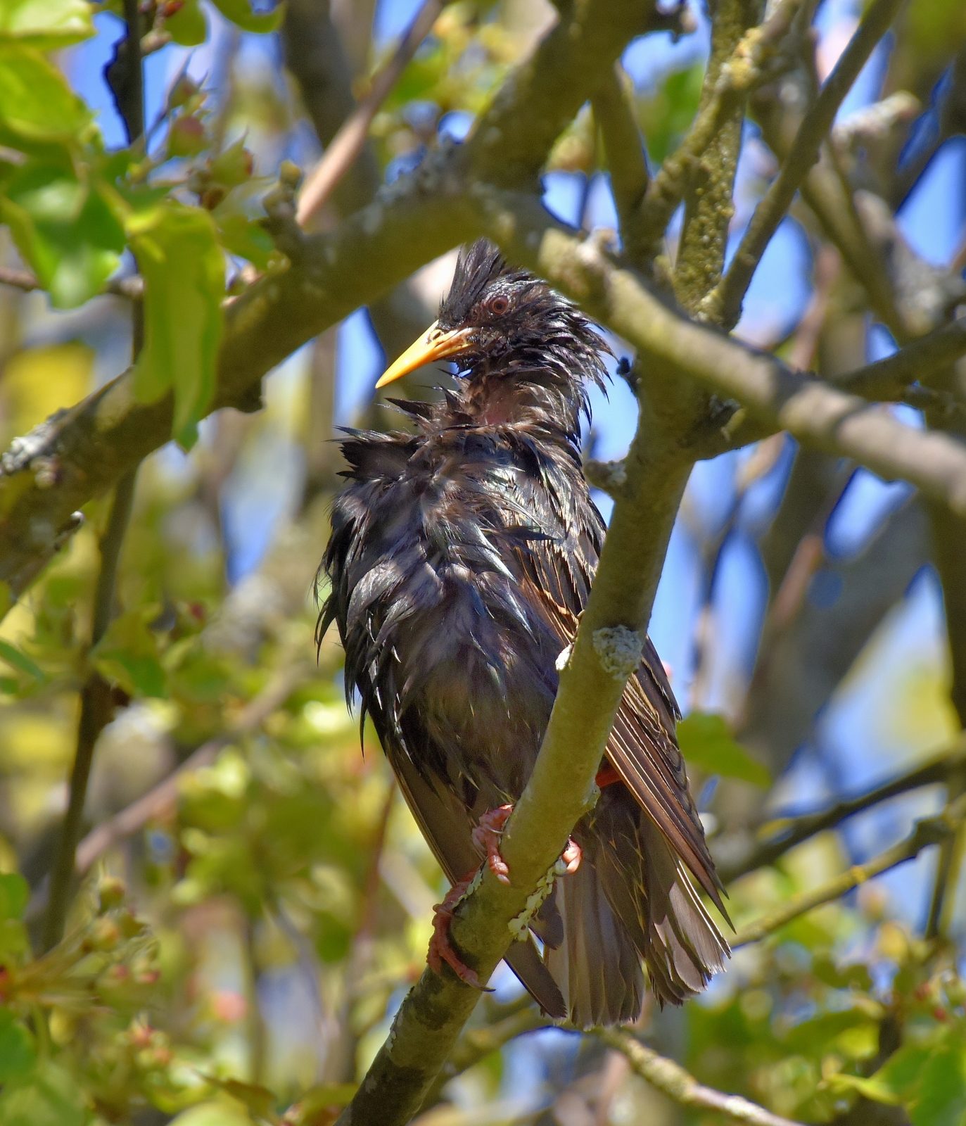 Valokuvaaja: Reijo Juurinen