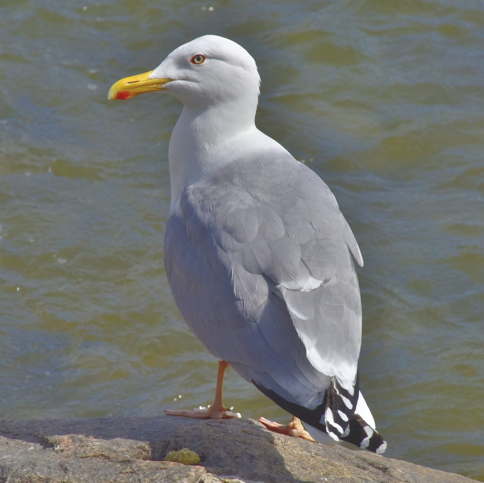 Valokuvaaja: Reijo Juurinen