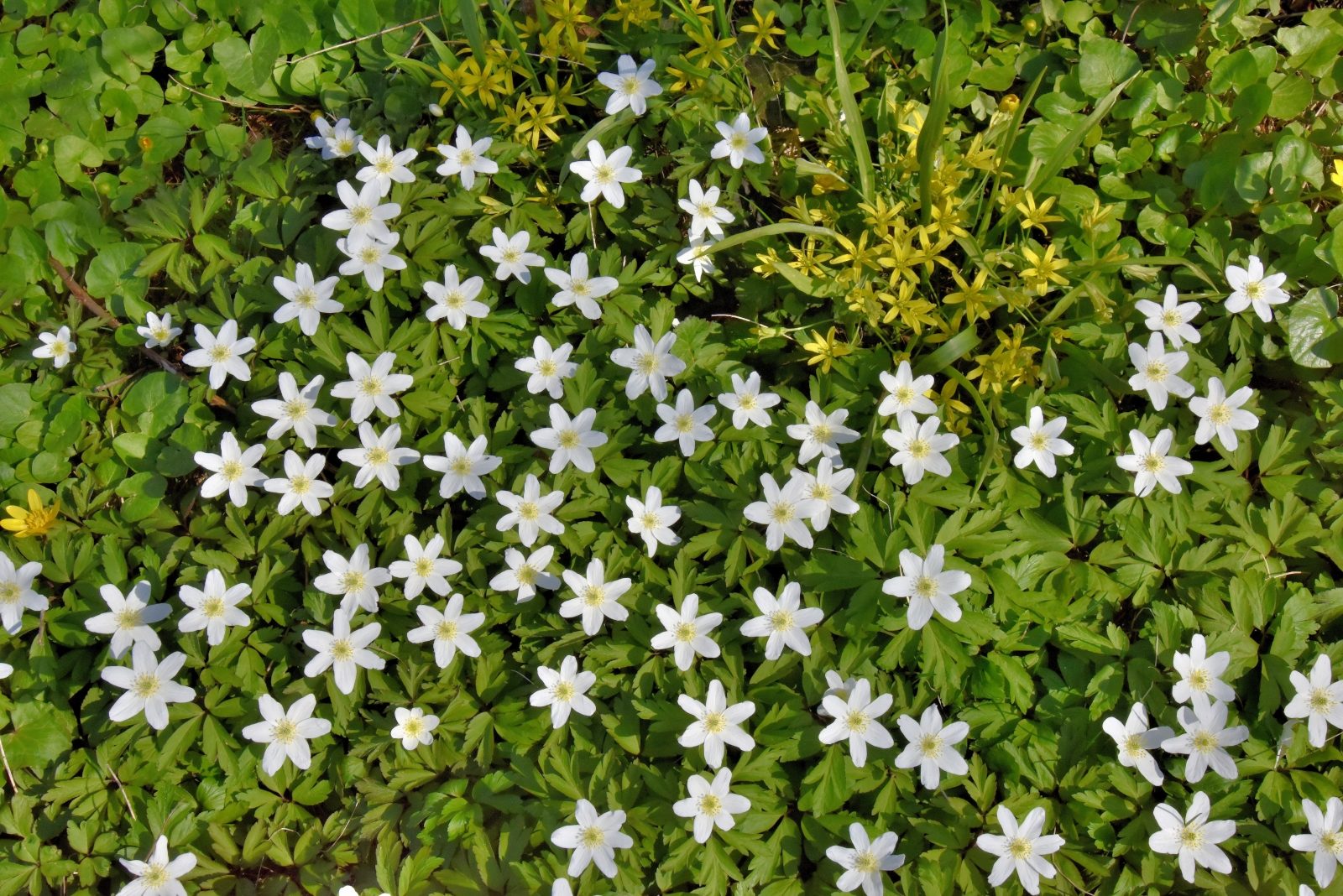 Valokuvaaja: Reijo Juurinen