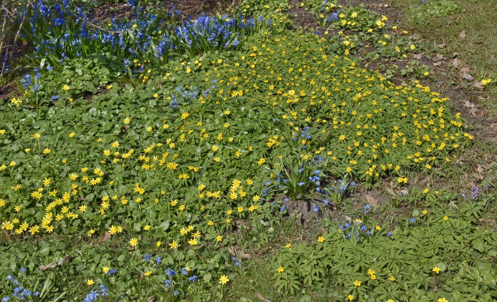 Valokuvaaja: Reijo Juurinen