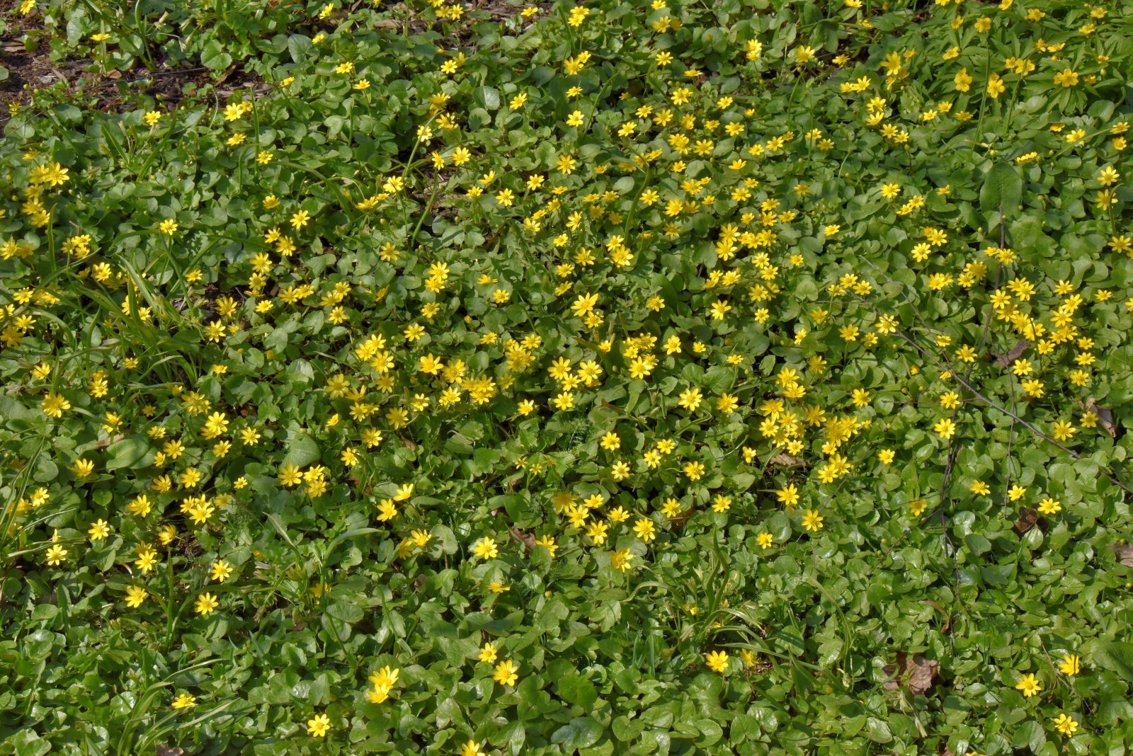 Valokuvaaja: Reijo Juurinen