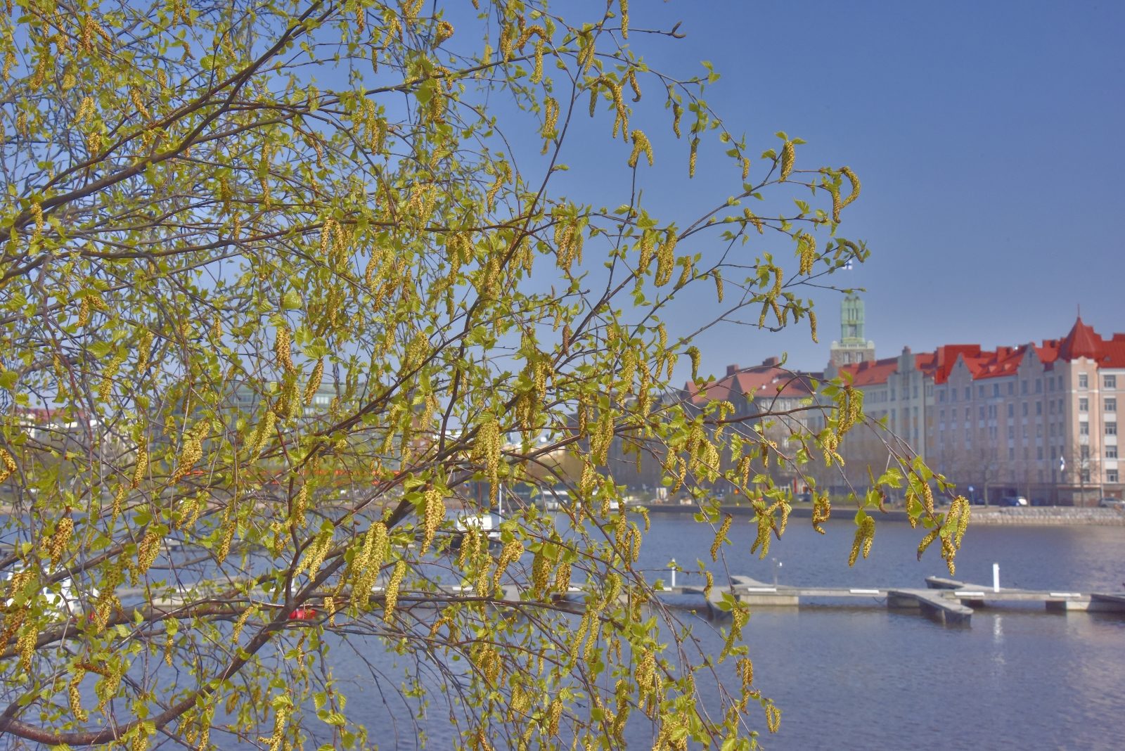 Valokuvaaja: Reijo Juurinen