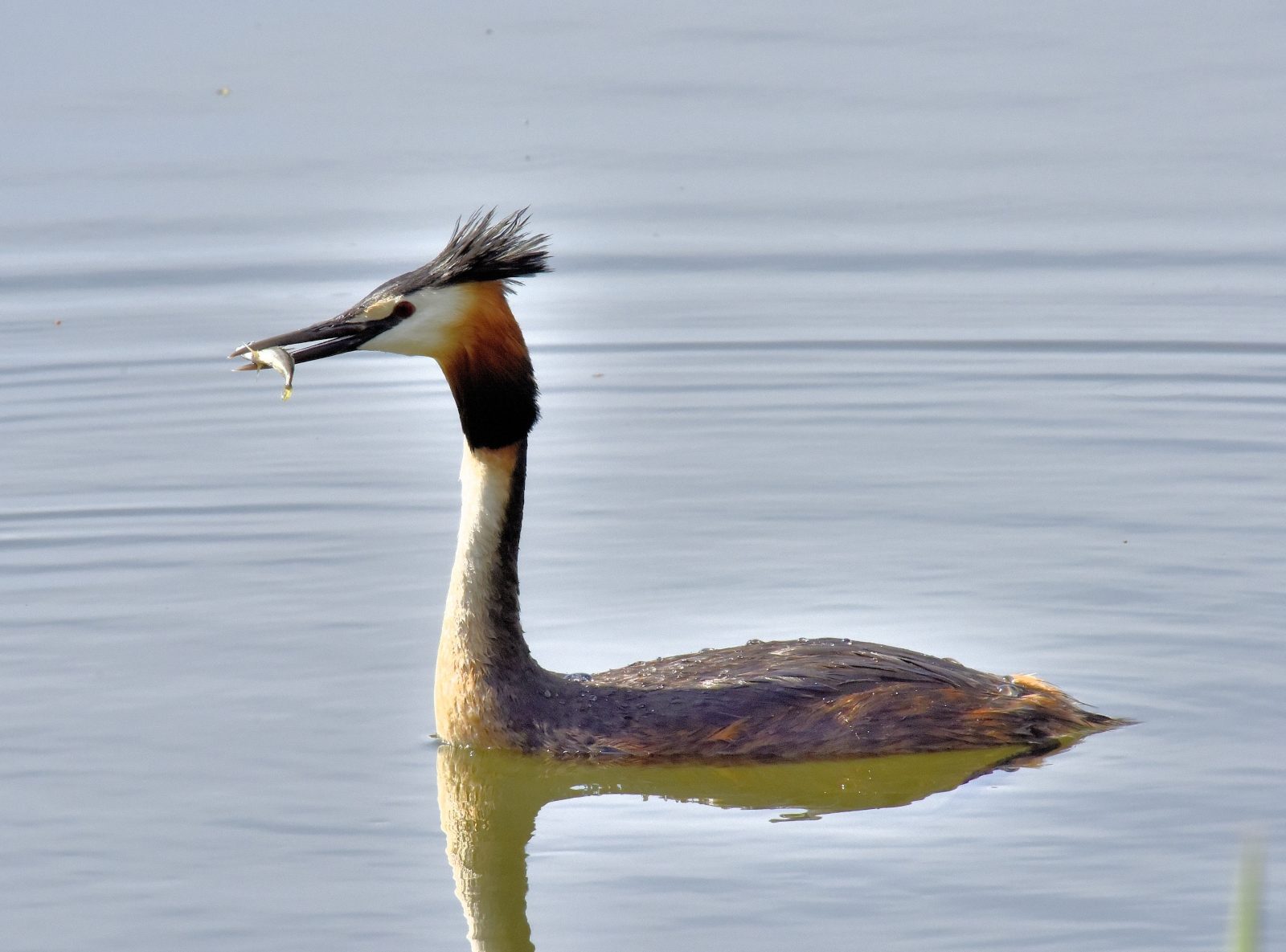Valokuvaaja: Reijo Juurinen