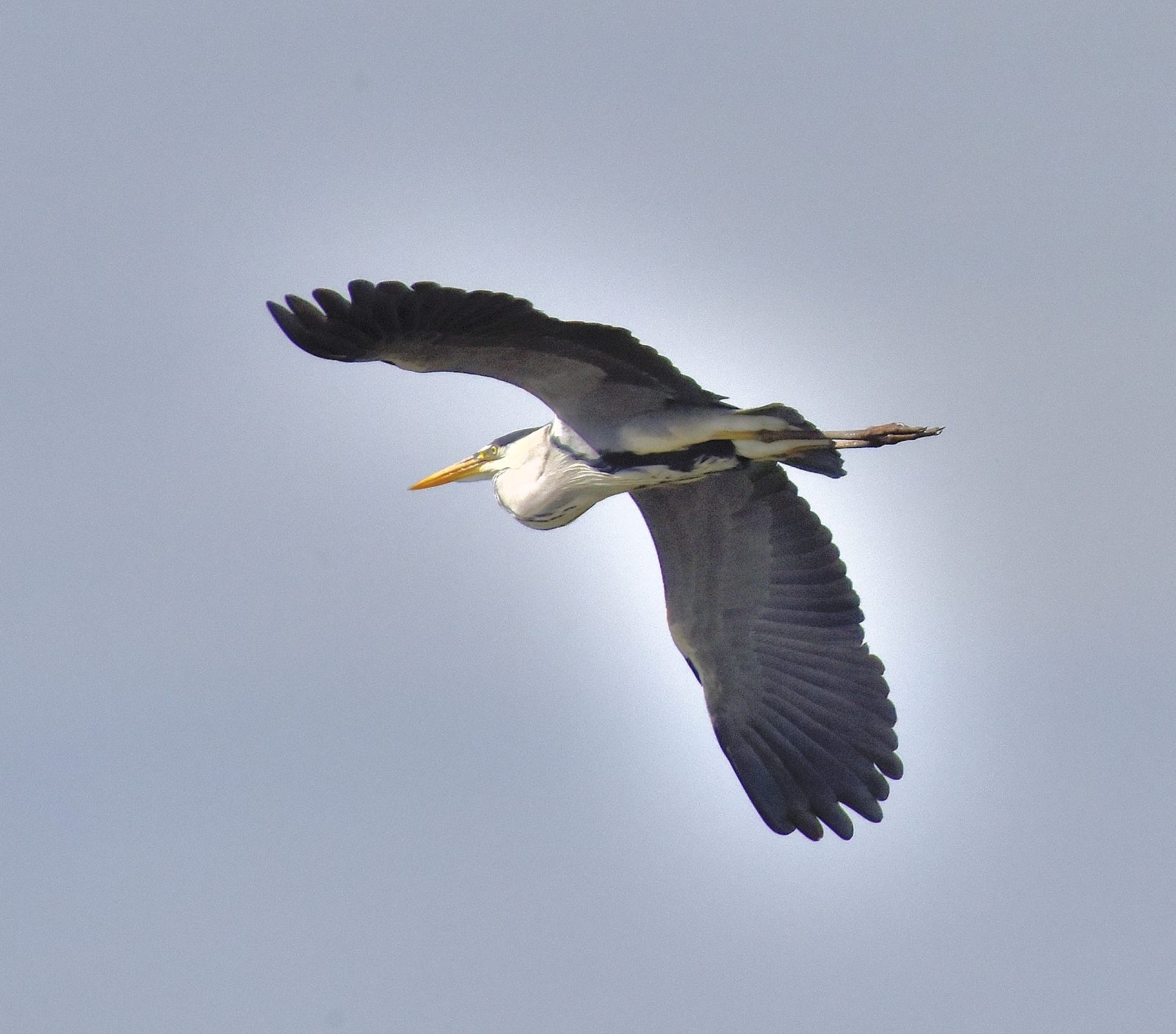 Valokuvaaja: Reijo Juurinen Valokuvaaja: Reijo Juurinen