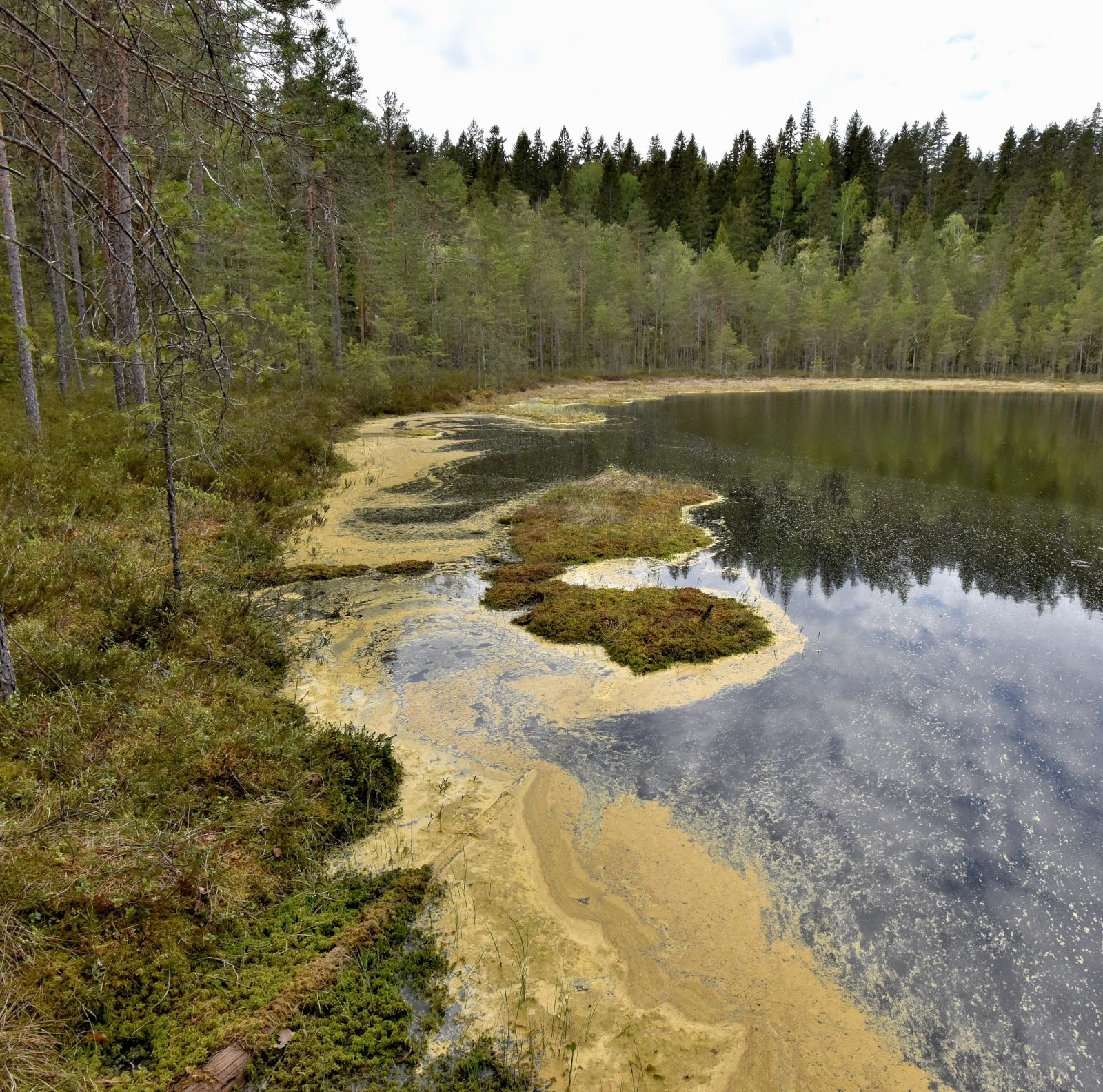 Valokuvaaja: Reijo Juurinen