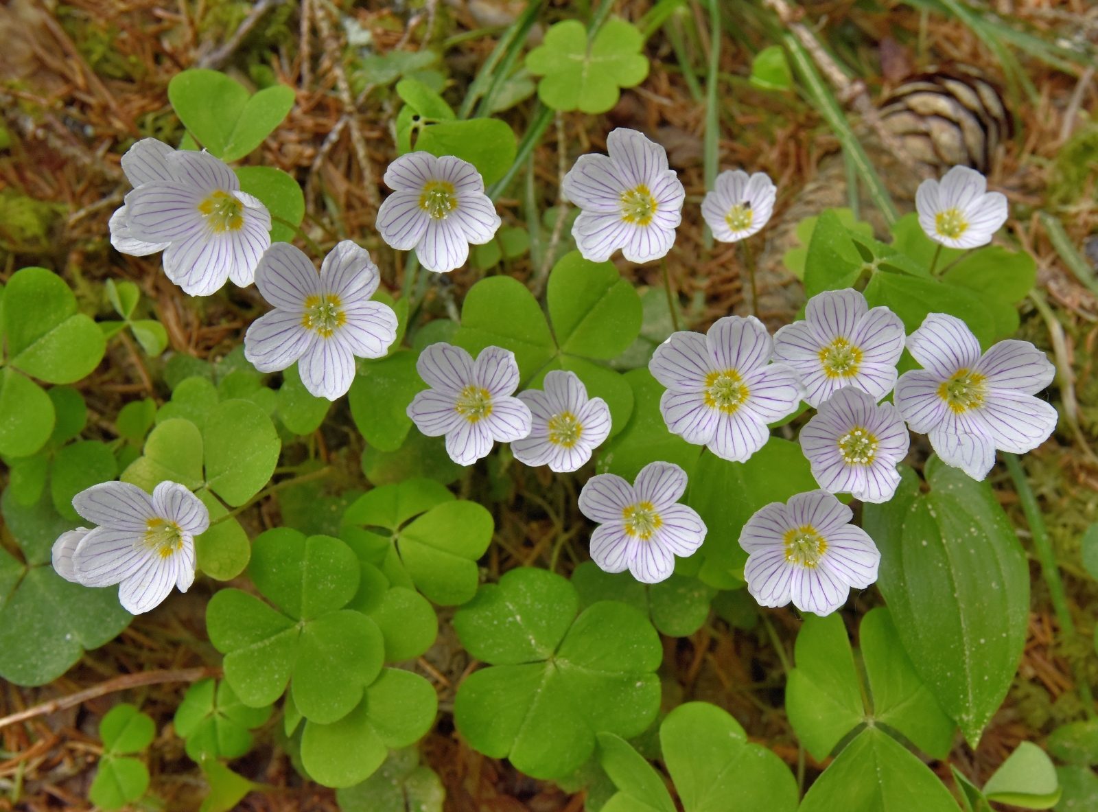 Valokuvaaja: Reijo Juurinen