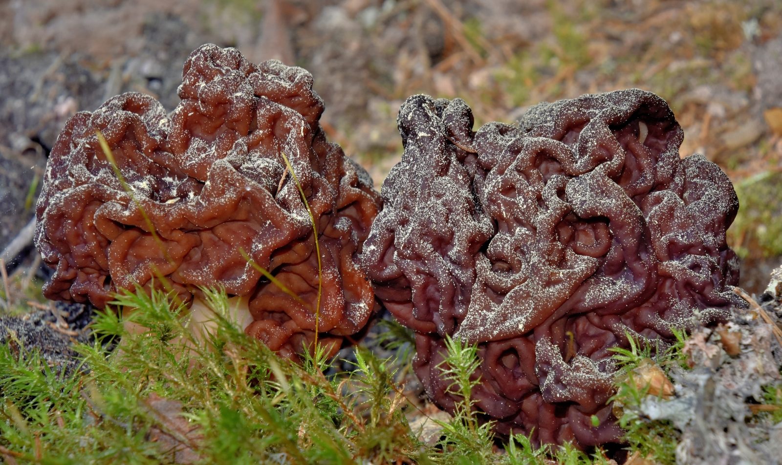 Valokuvaaja: Reijo Juurinen