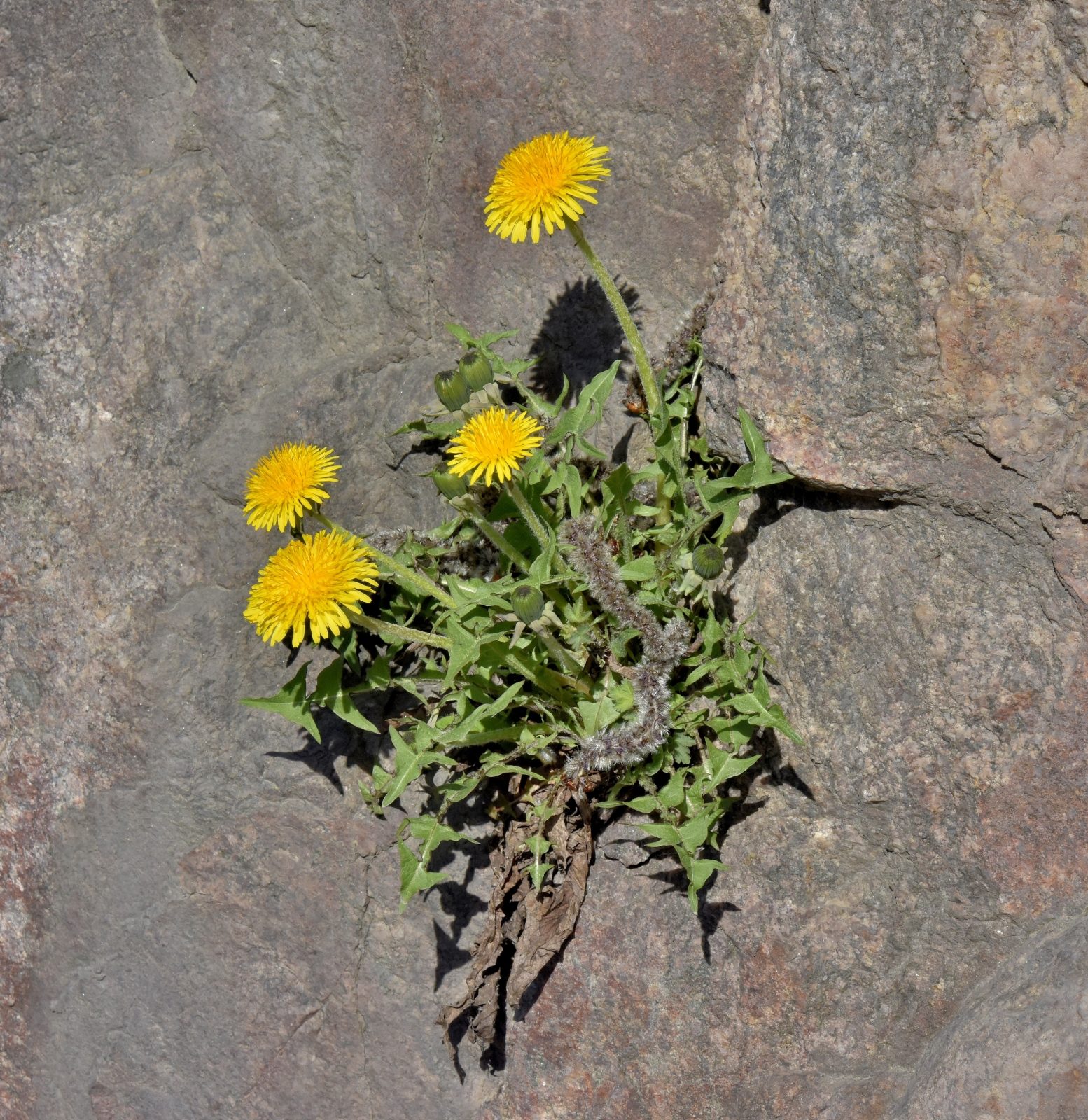 Valokuvaaja: Reijo Juurinen