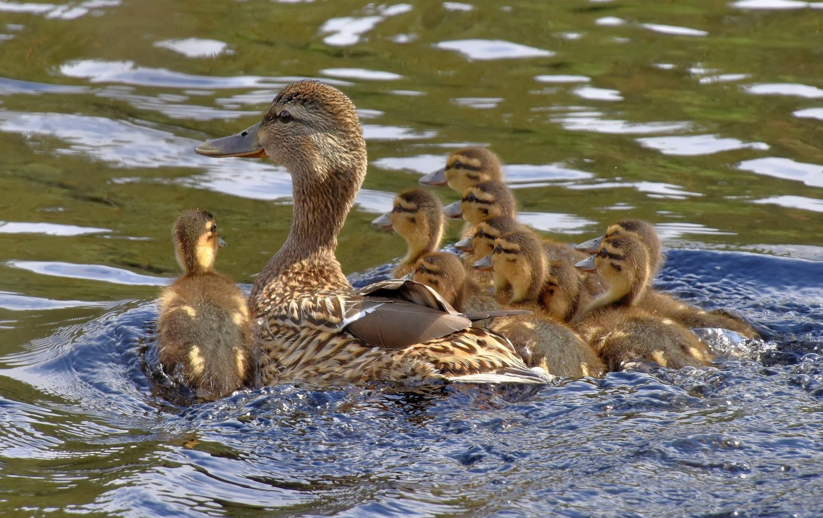 Valokuvaaja: Reijo Juurinen