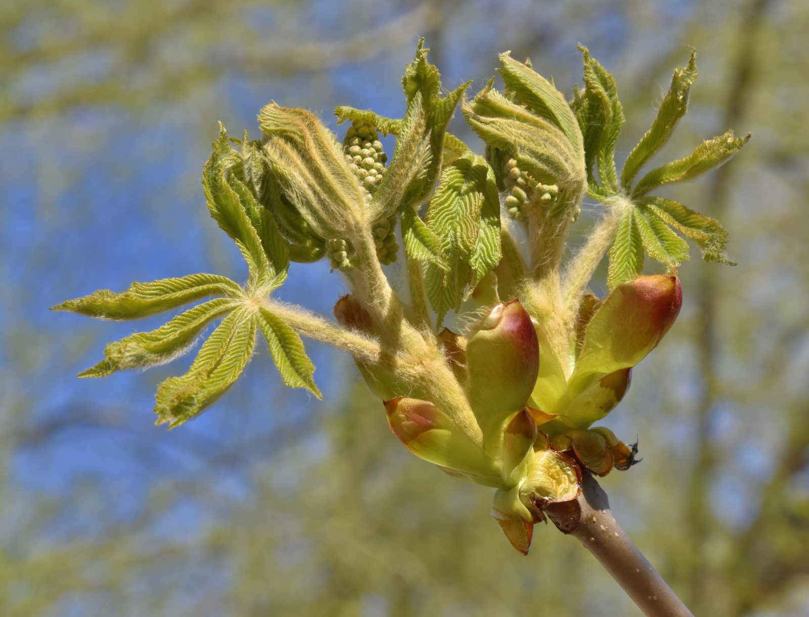 Valokuvaaja: Reijo Juurinen